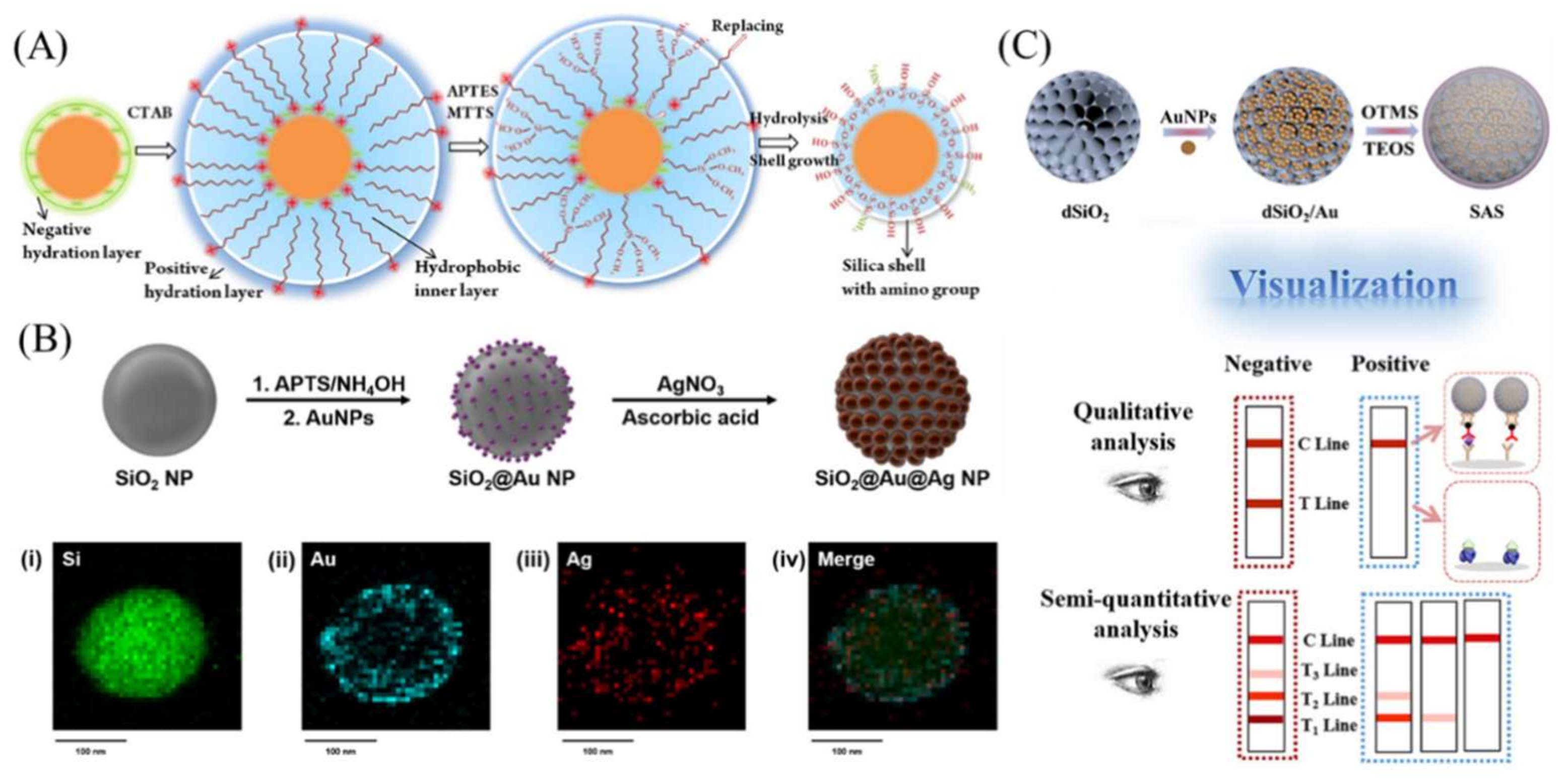 Bioengineering 09 00266 g002