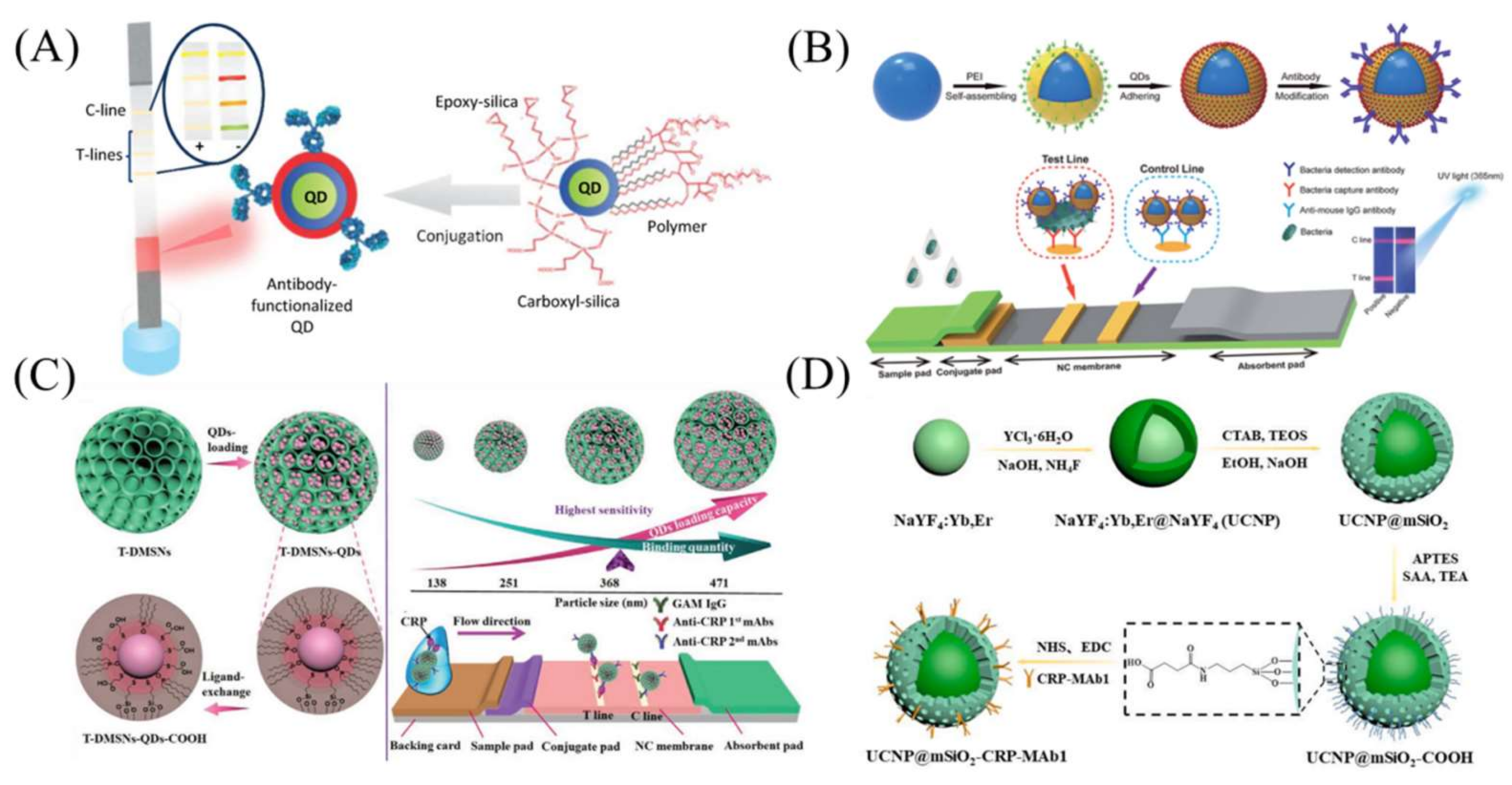 Bioengineering 09 00266 g003