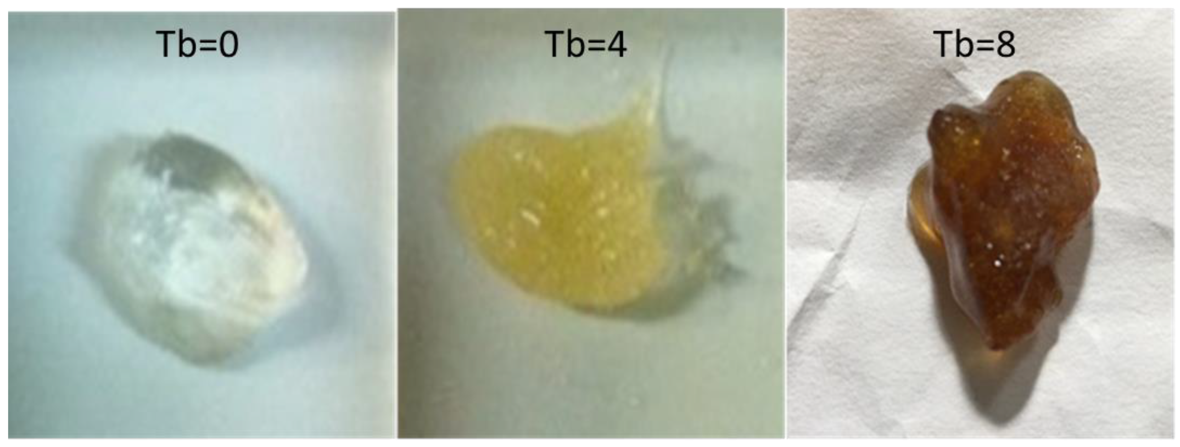 Bioengineering 09 00267 g001