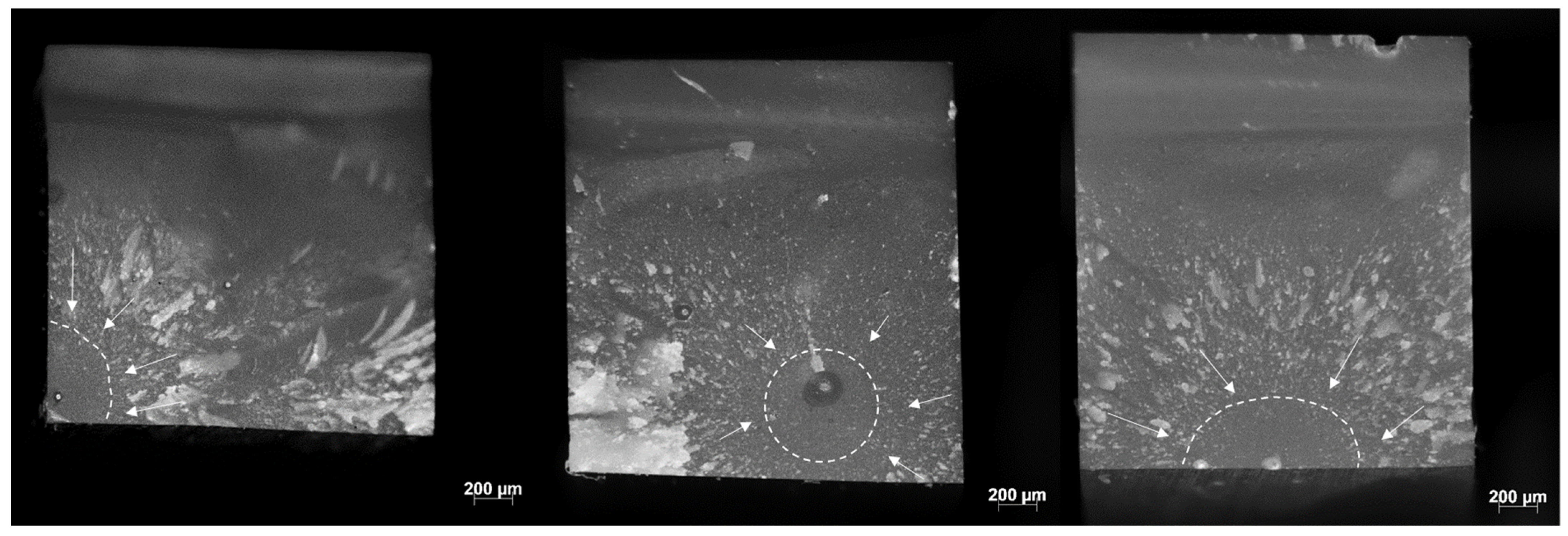 Bioengineering 09 00270 g004 550