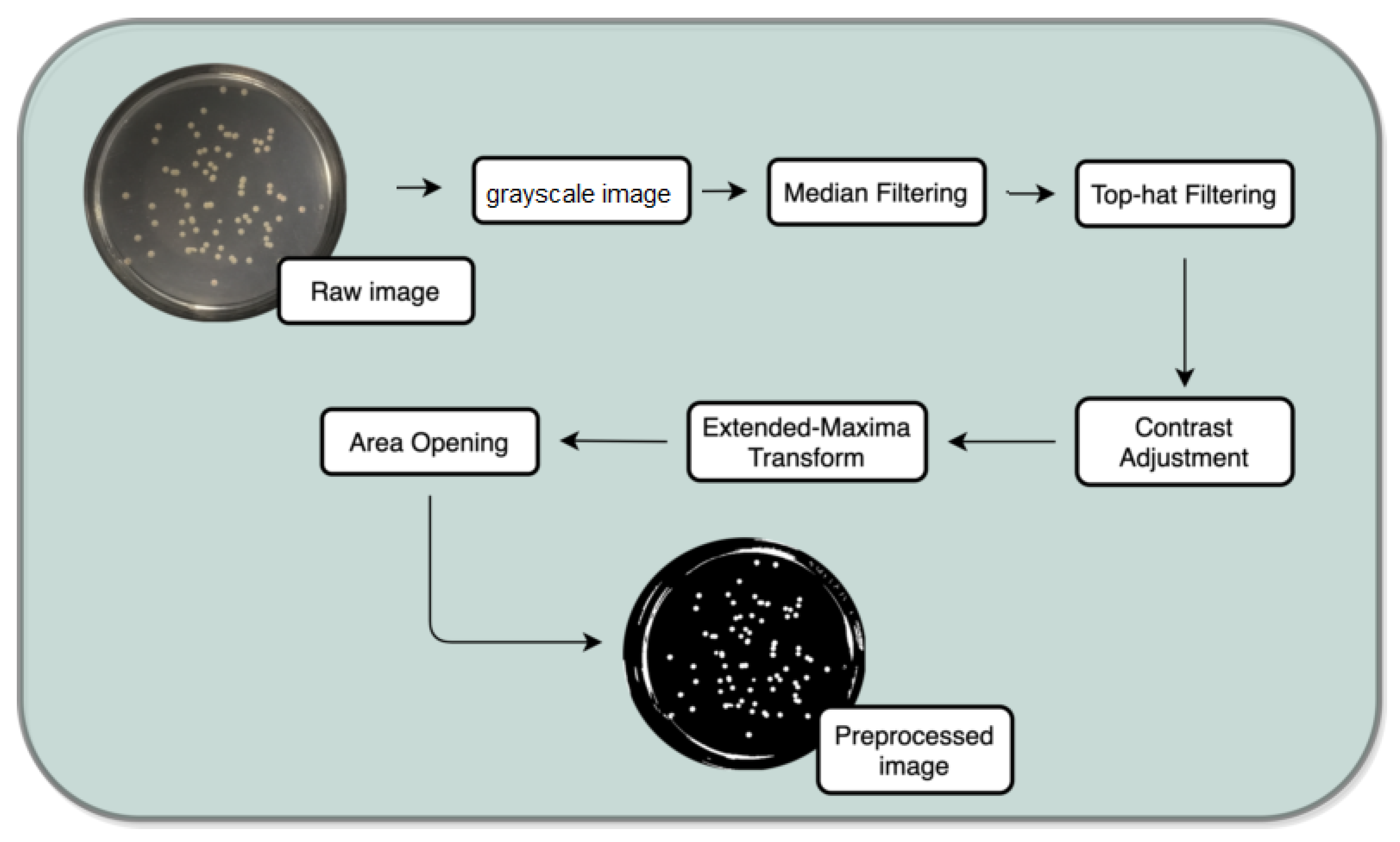 Bioengineering 09 00271 g004 550