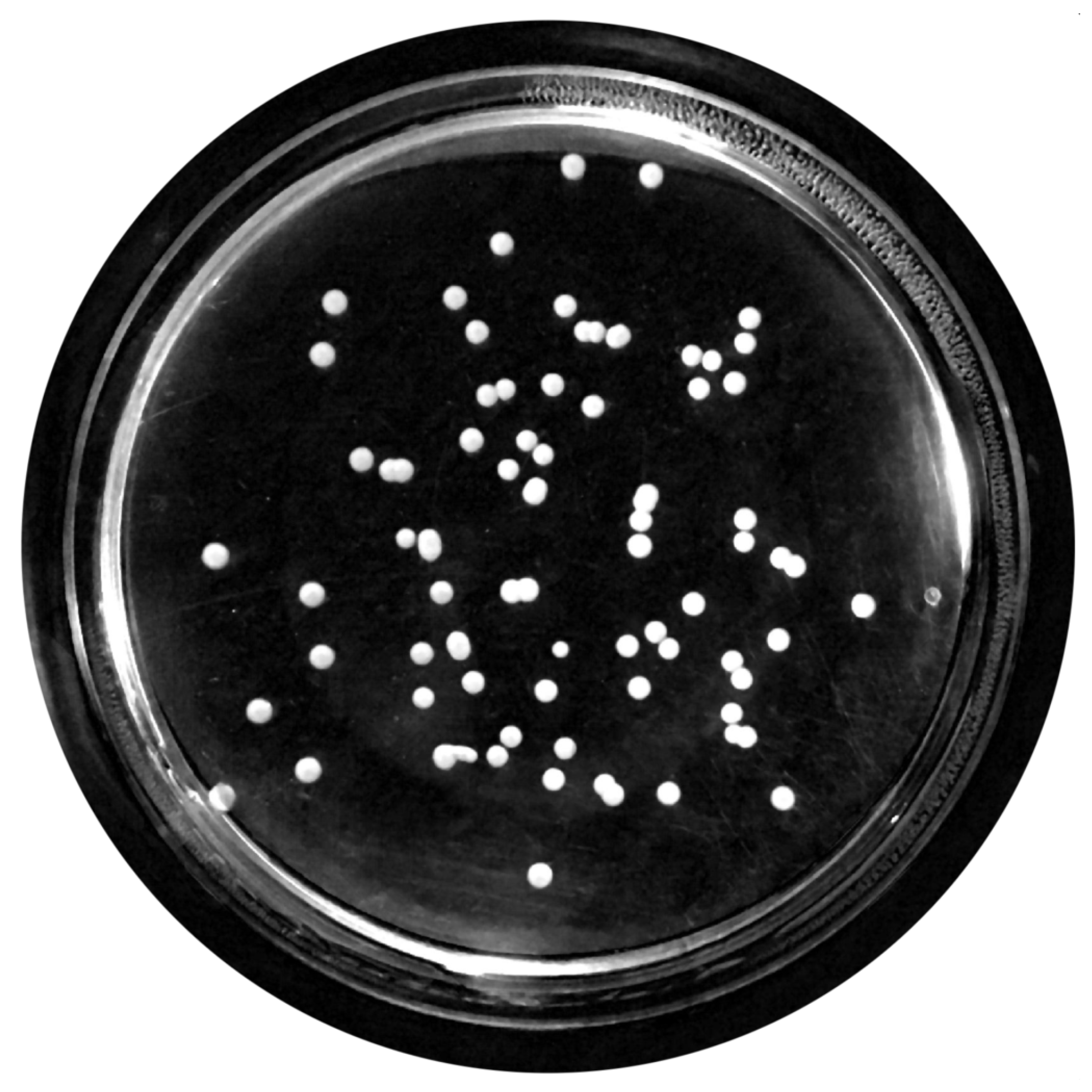 Bioengineering 09 00271 g008 550