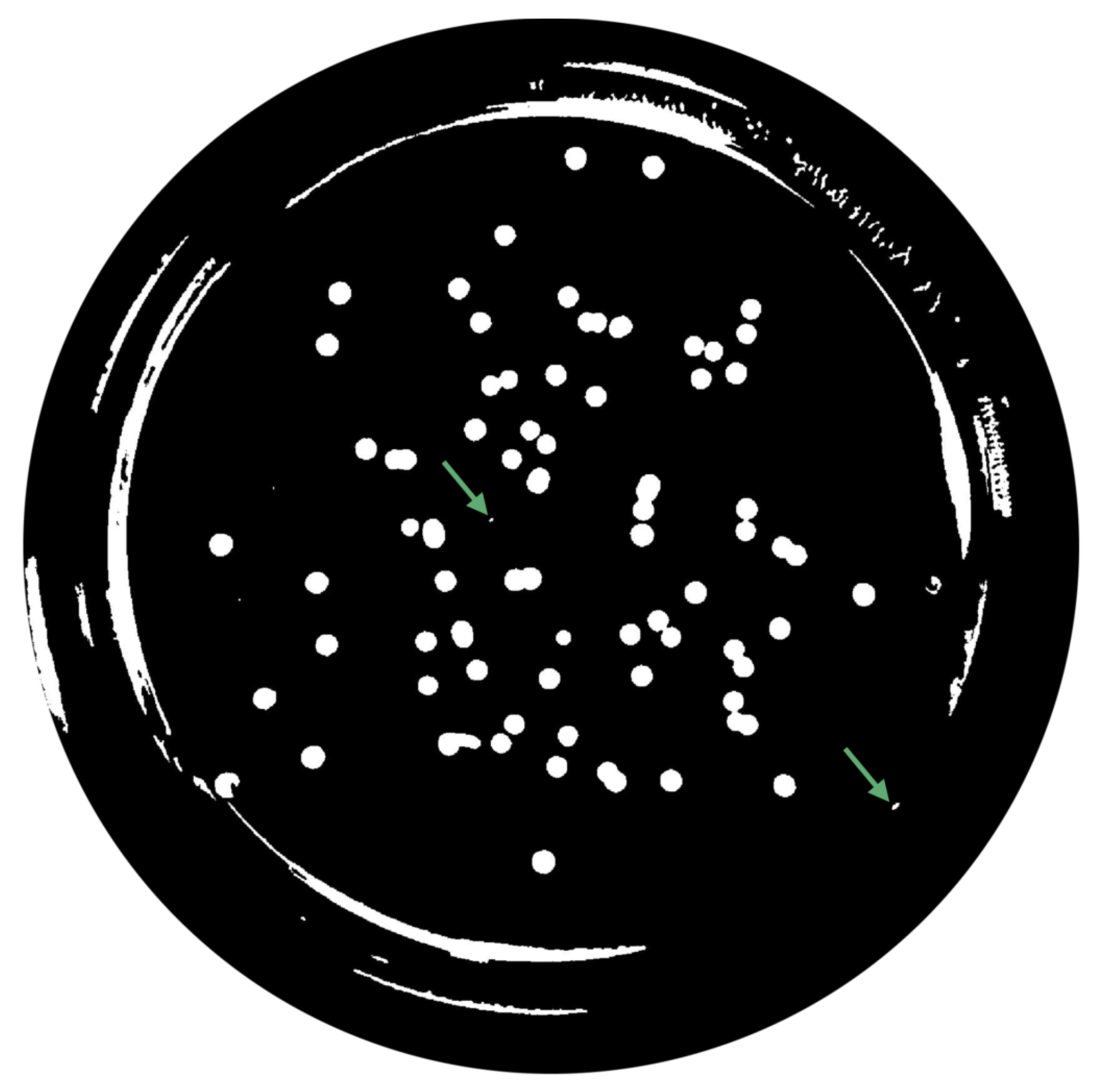 Bioengineering 09 00271 g009 550