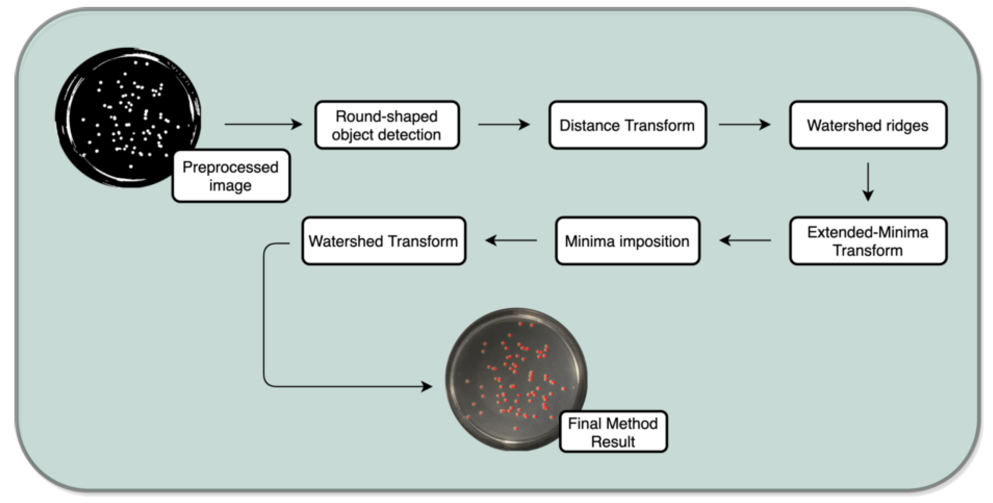Bioengineering 09 00271 g011 550