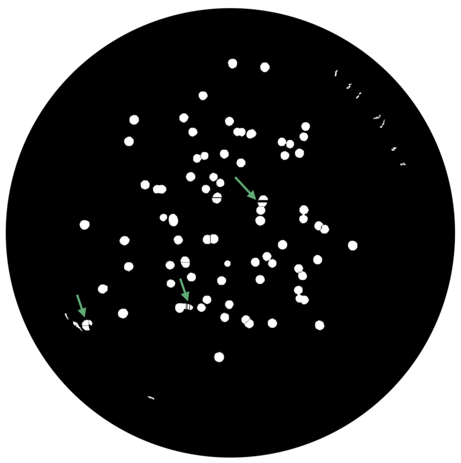 Bioengineering 09 00271 g014 550