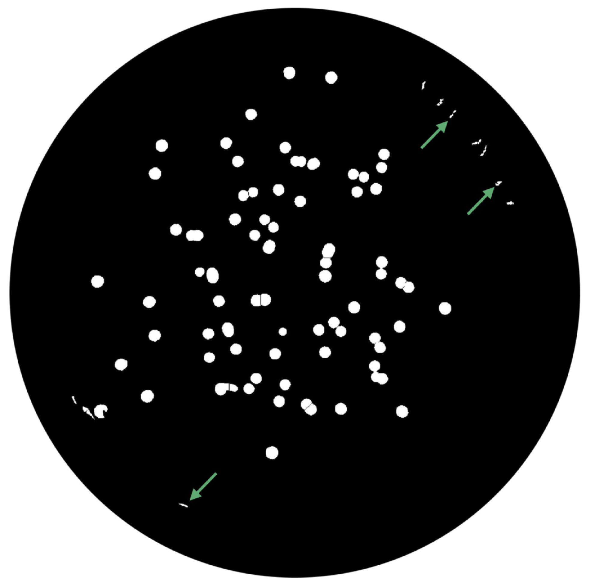 Bioengineering 09 00271 g017 550