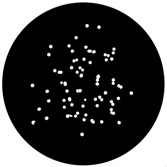 Image Analysis Semi-Automatic System for Colony-Forming-Unit Counting