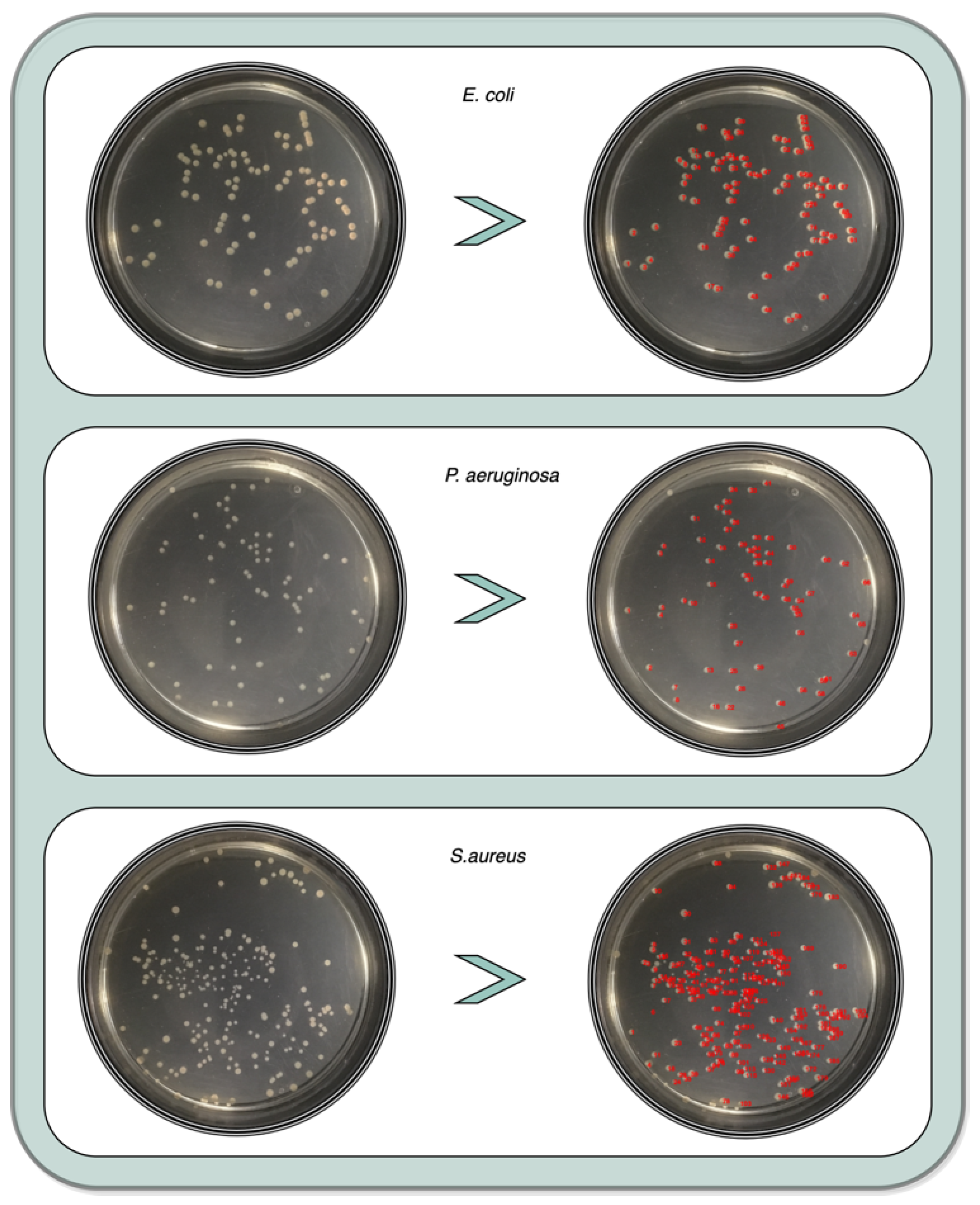 Bioengineering 09 00271 g020 550