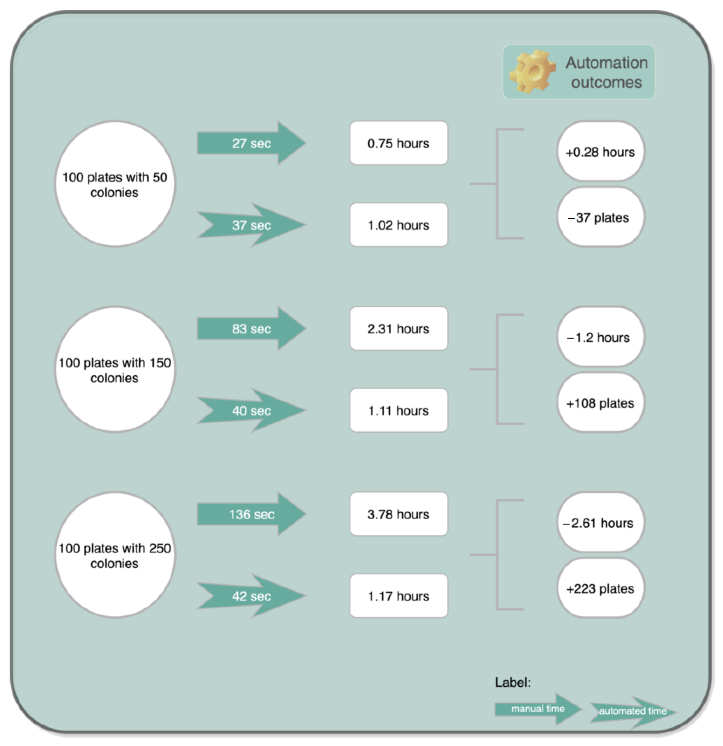 Bioengineering 09 00271 g022 550