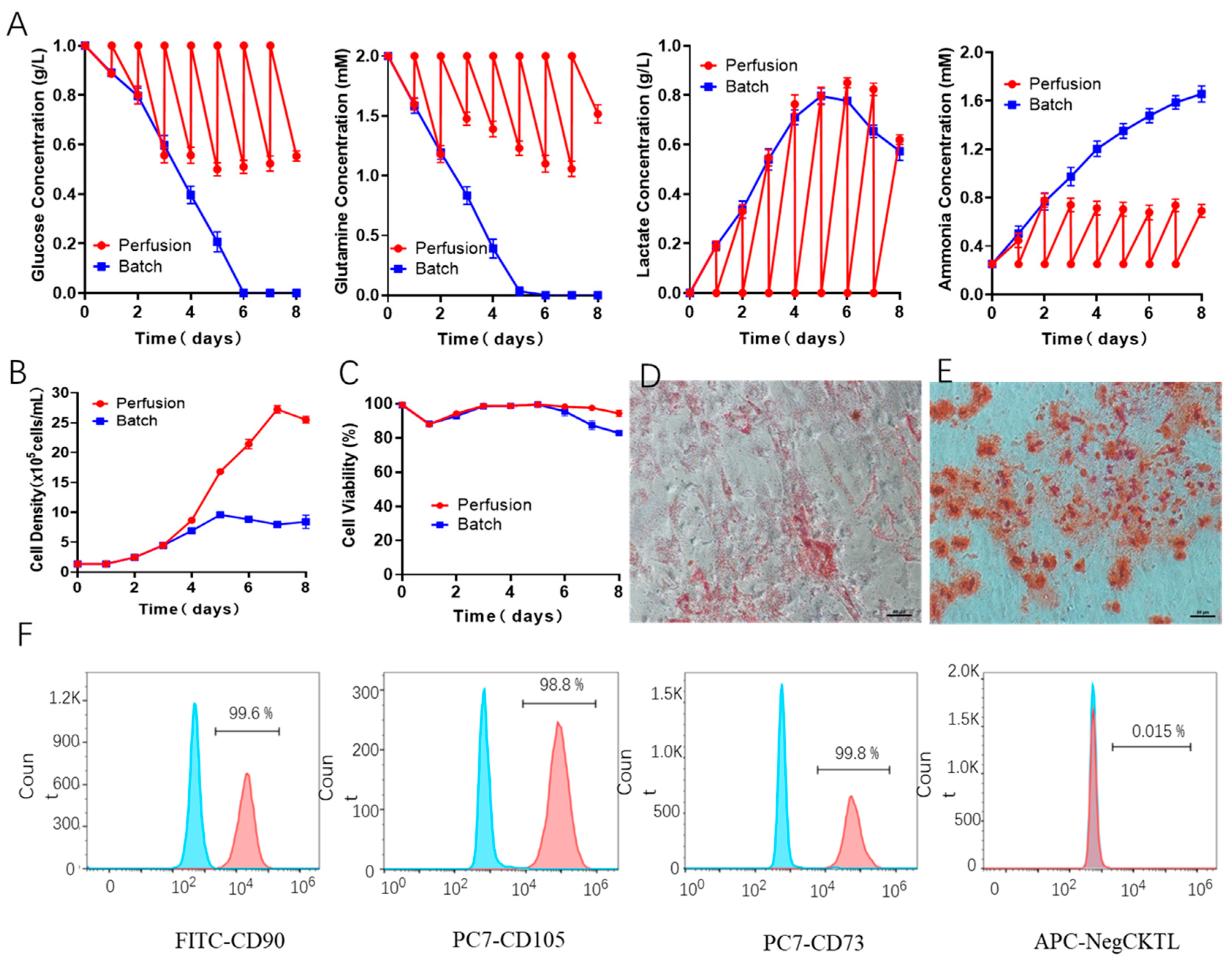 Bioengineering 09 00274 g006