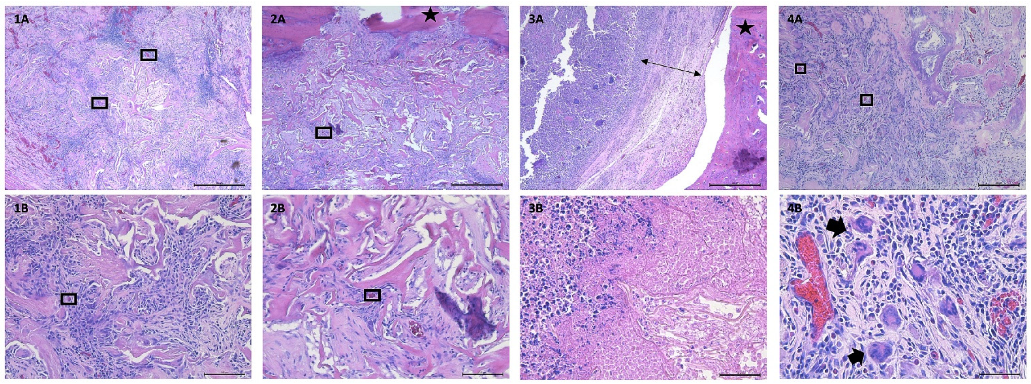 Bioengineering 09 00275 g006