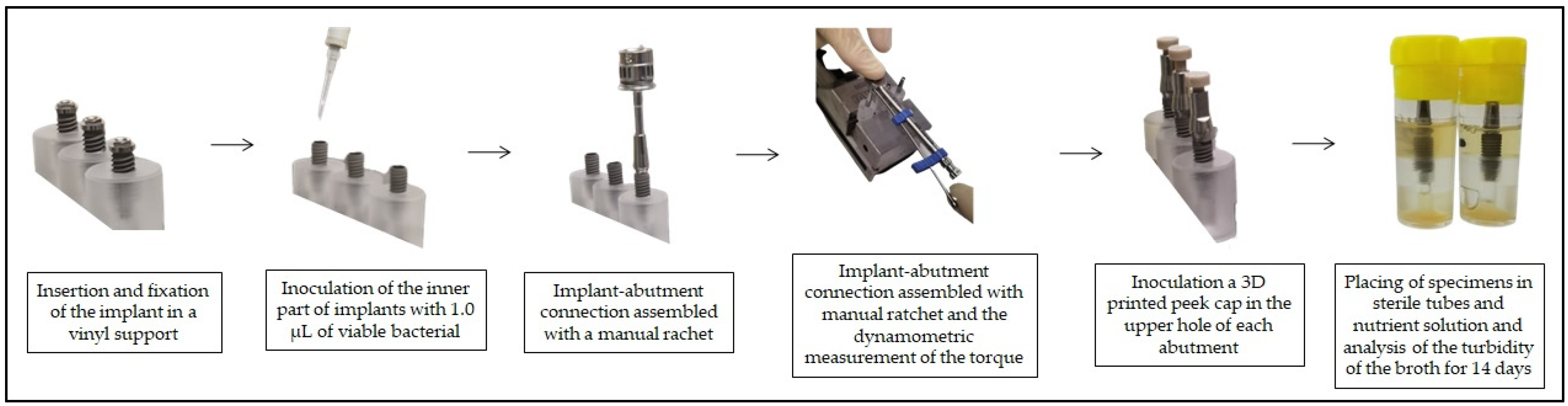 Bioengineering 09 00277 g001 550