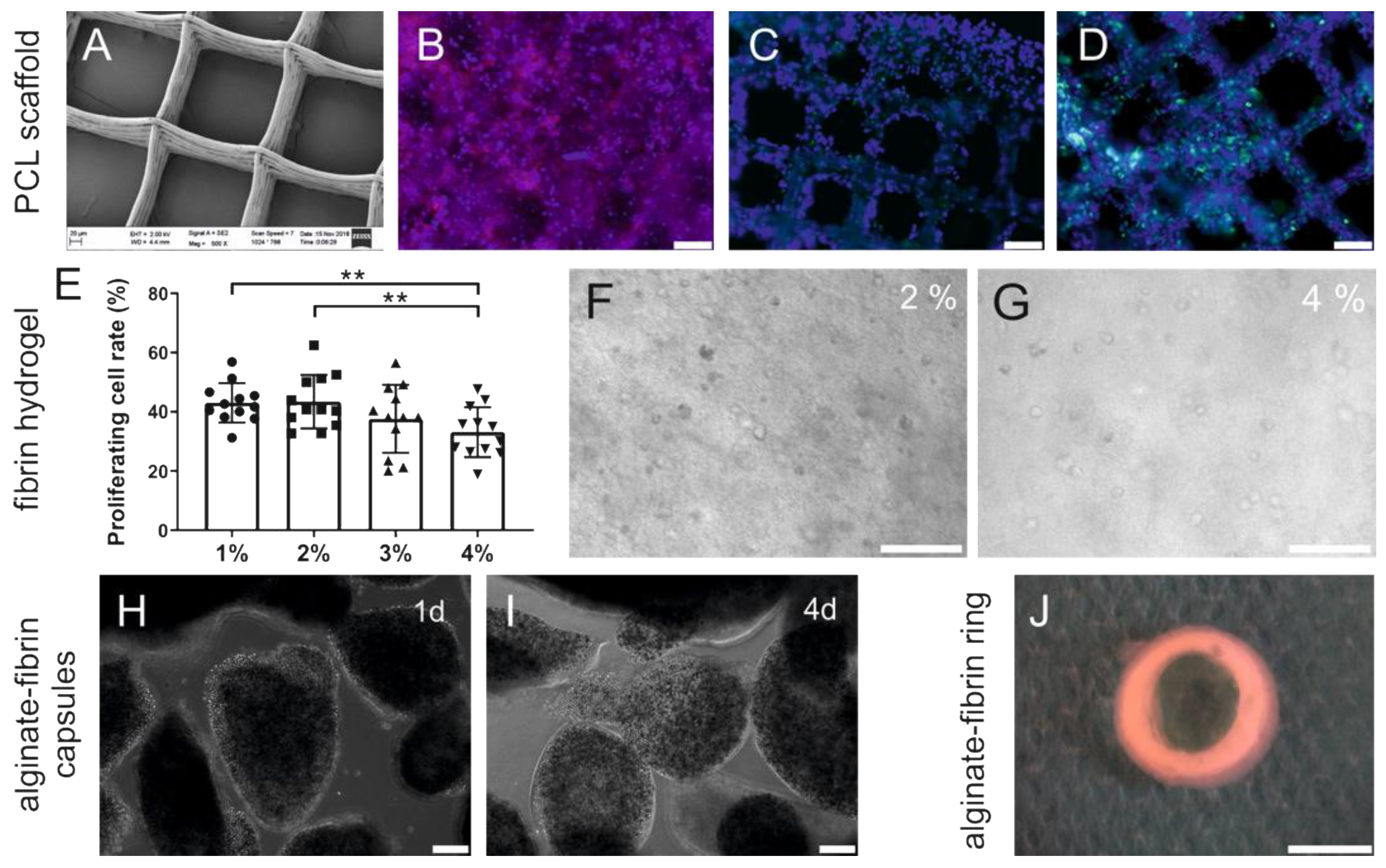 Bioengineering 09 00280 g002