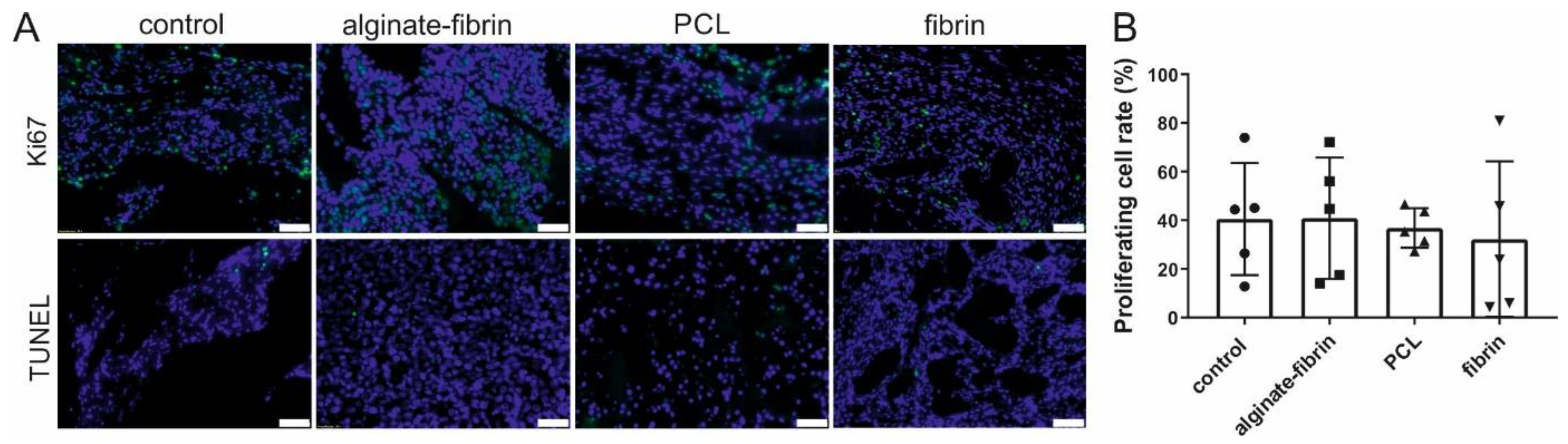 Bioengineering 09 00280 g006