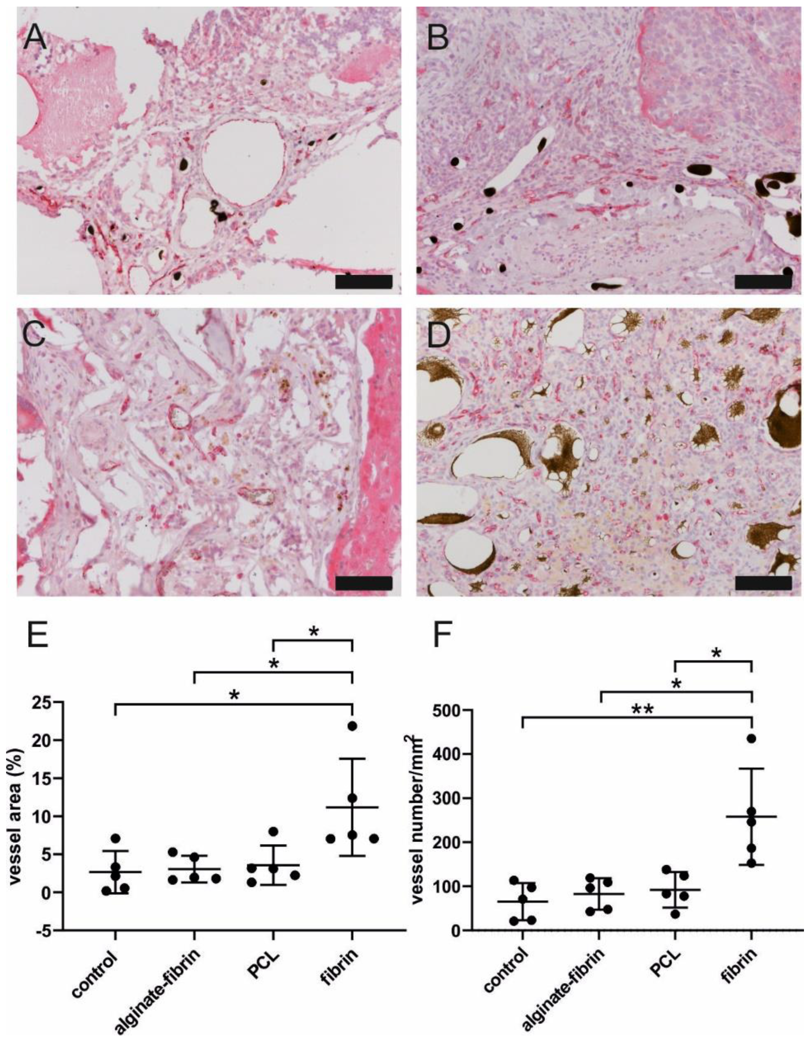 Bioengineering 09 00280 g007