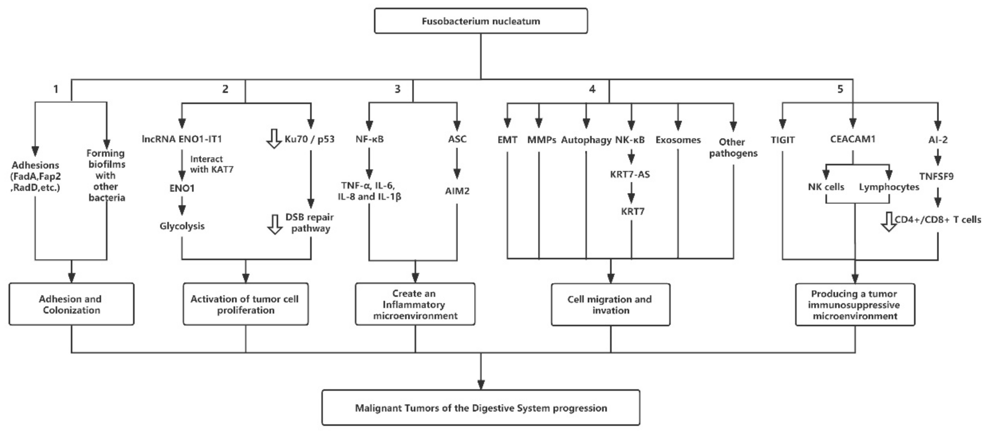 Bioengineering 09 00285 g001