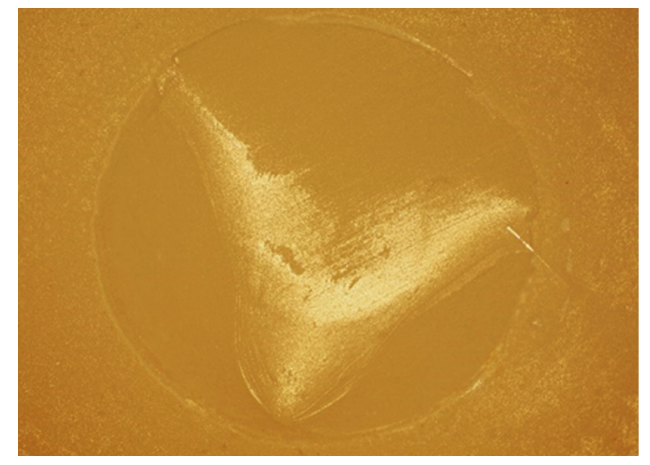 Bioengineering 09 00286 g003 Bioengineering 09 00286 g003