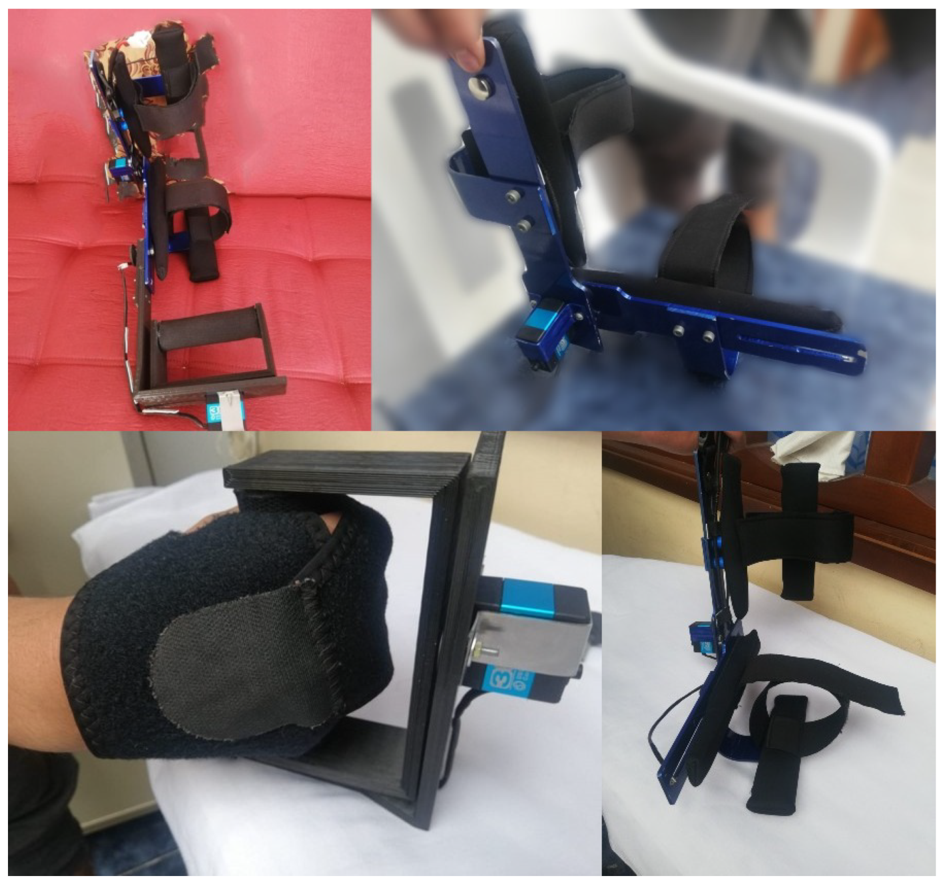 Bioengineering 09 00287 g008