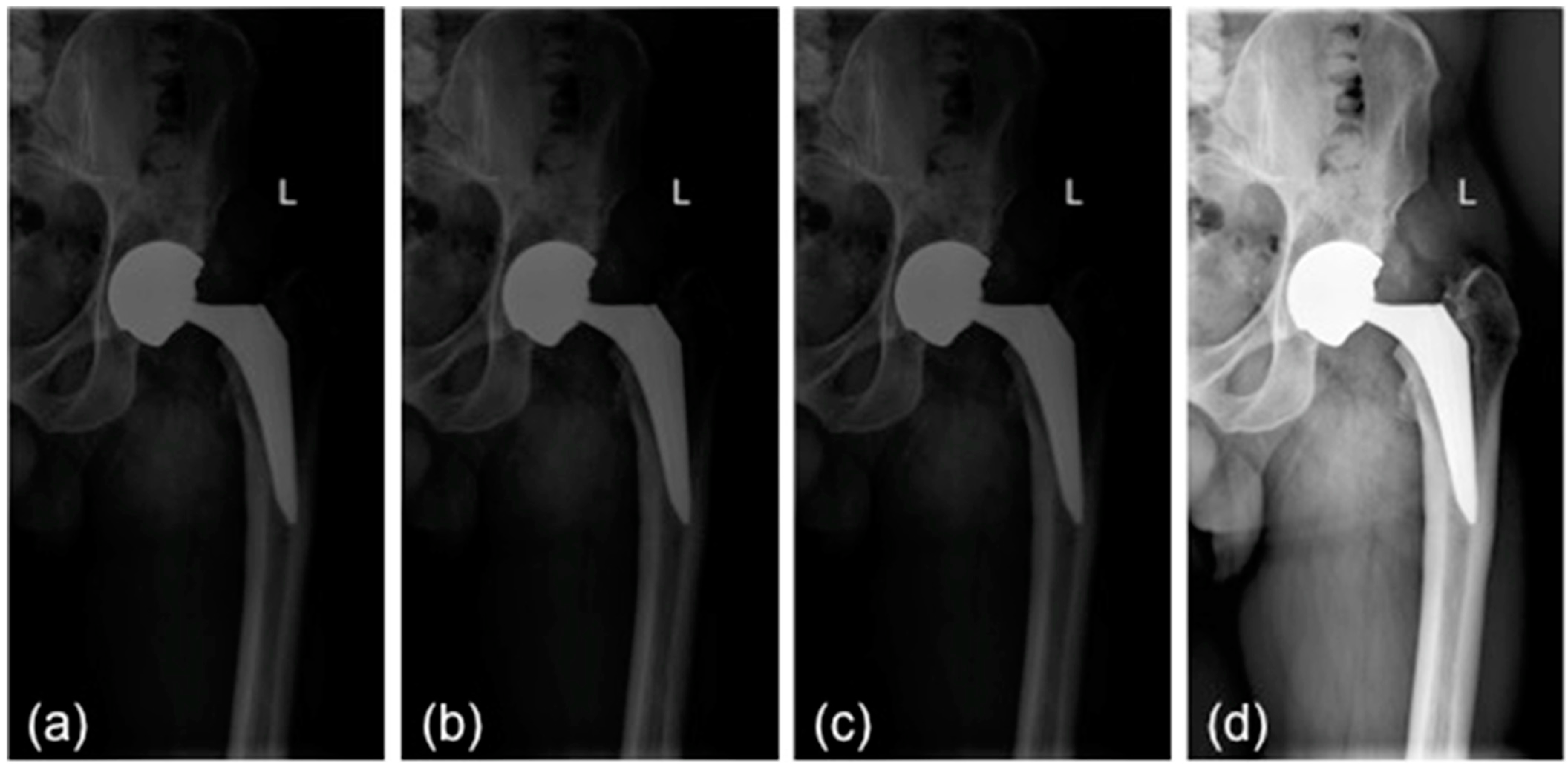 Bioengineering 09 00288 g001