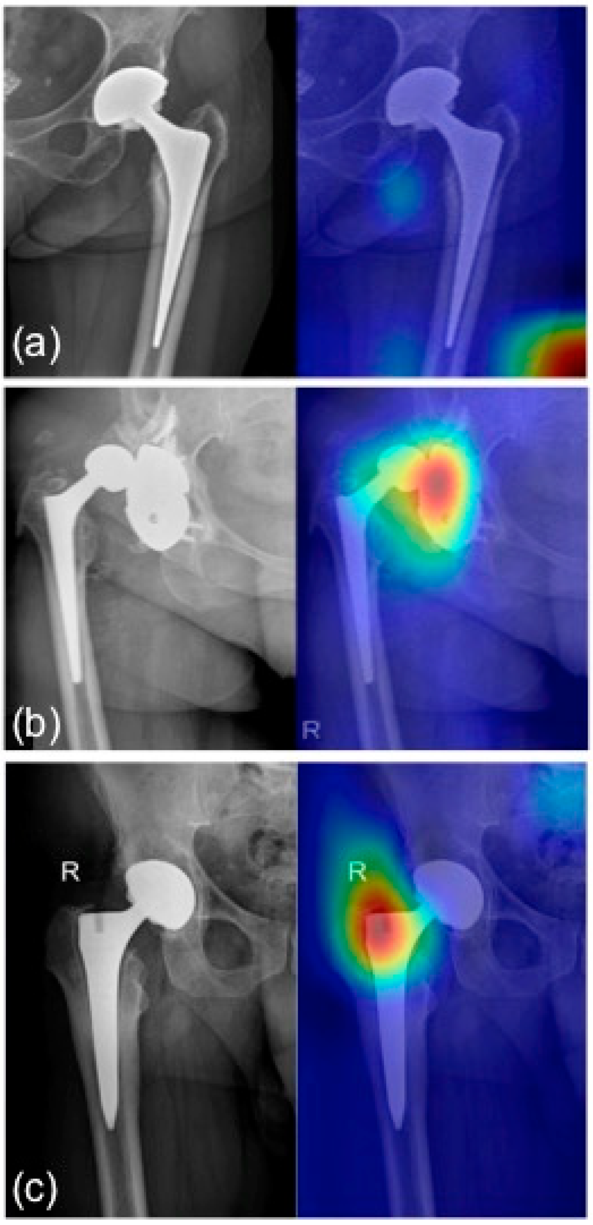 Bioengineering 09 00288 g006