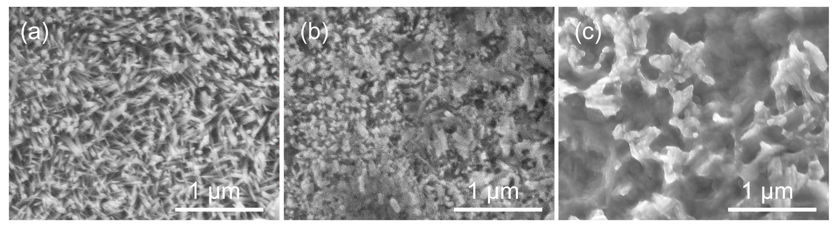 Bioengineering 09 00289 g005