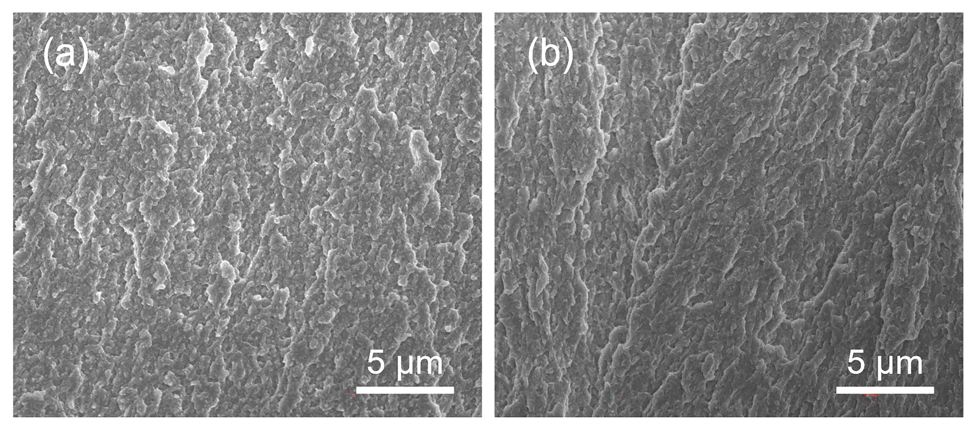 Bioengineering 09 00289 g006