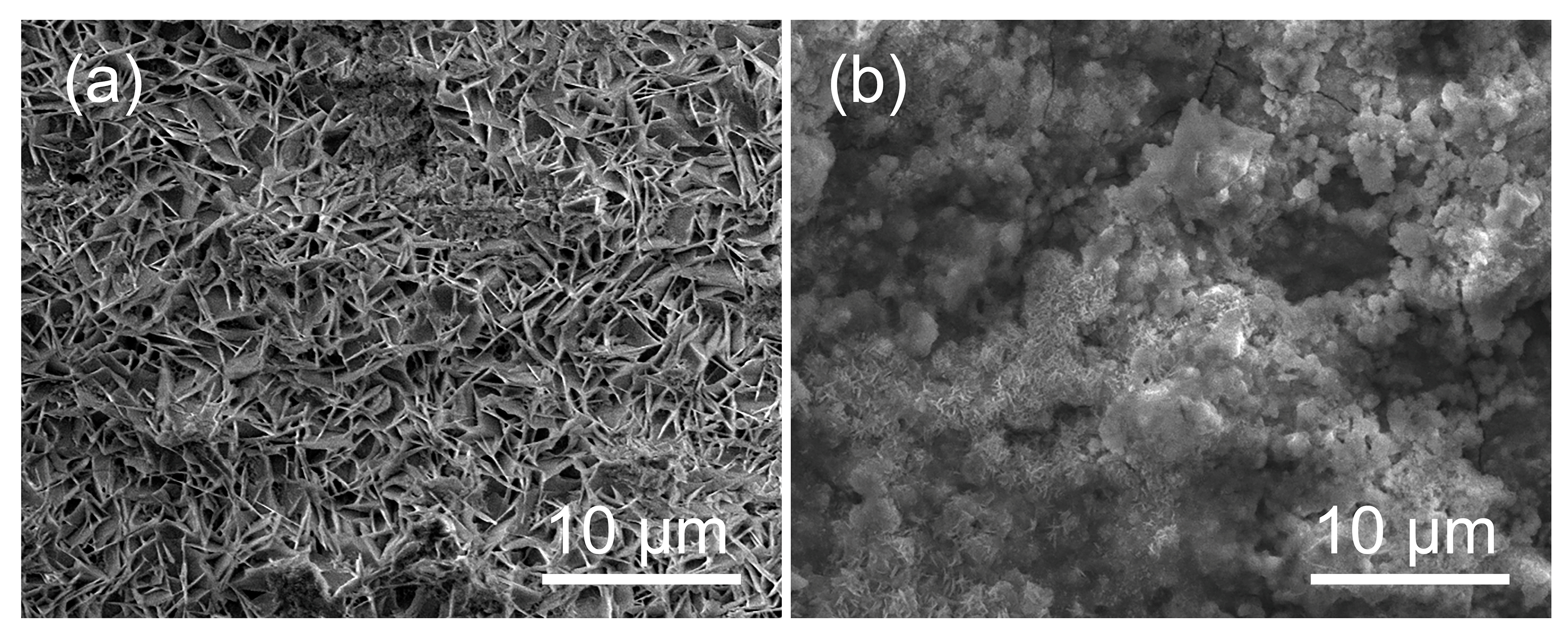 Bioengineering 09 00289 g012