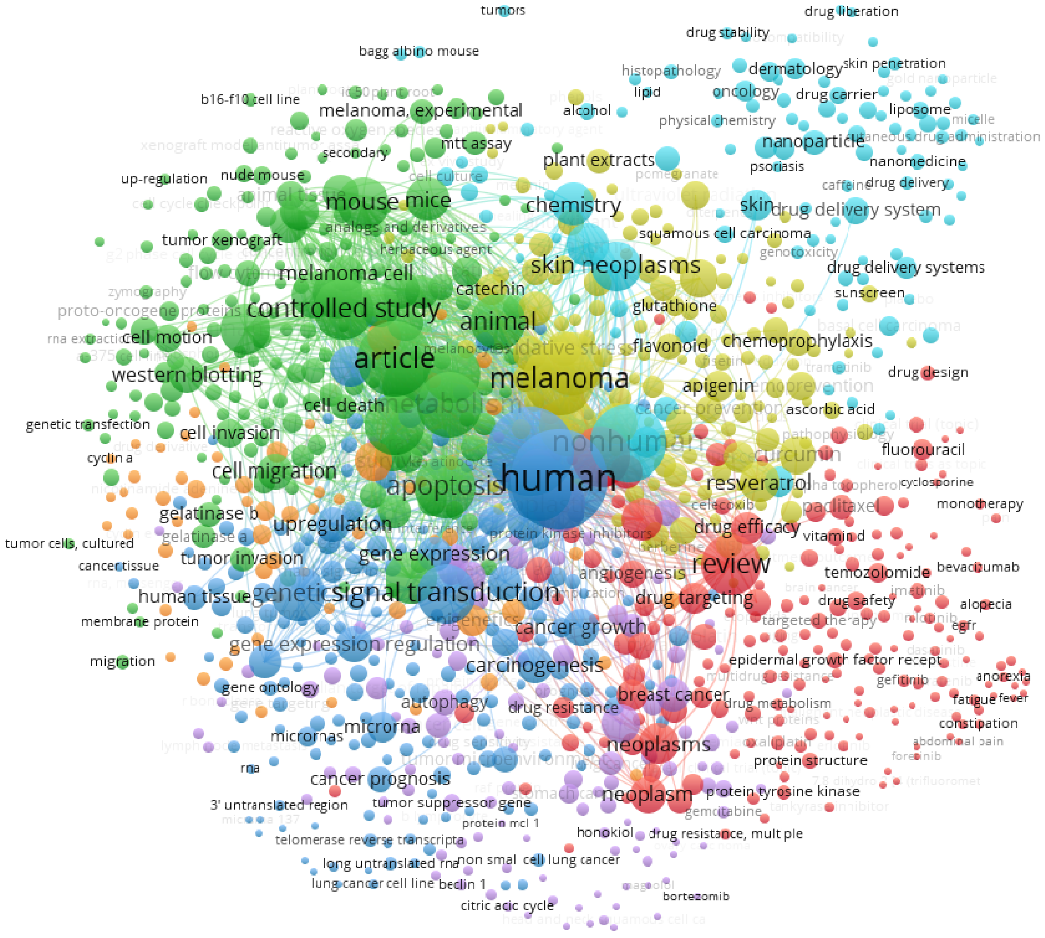 Bioengineering 09 00290 g001