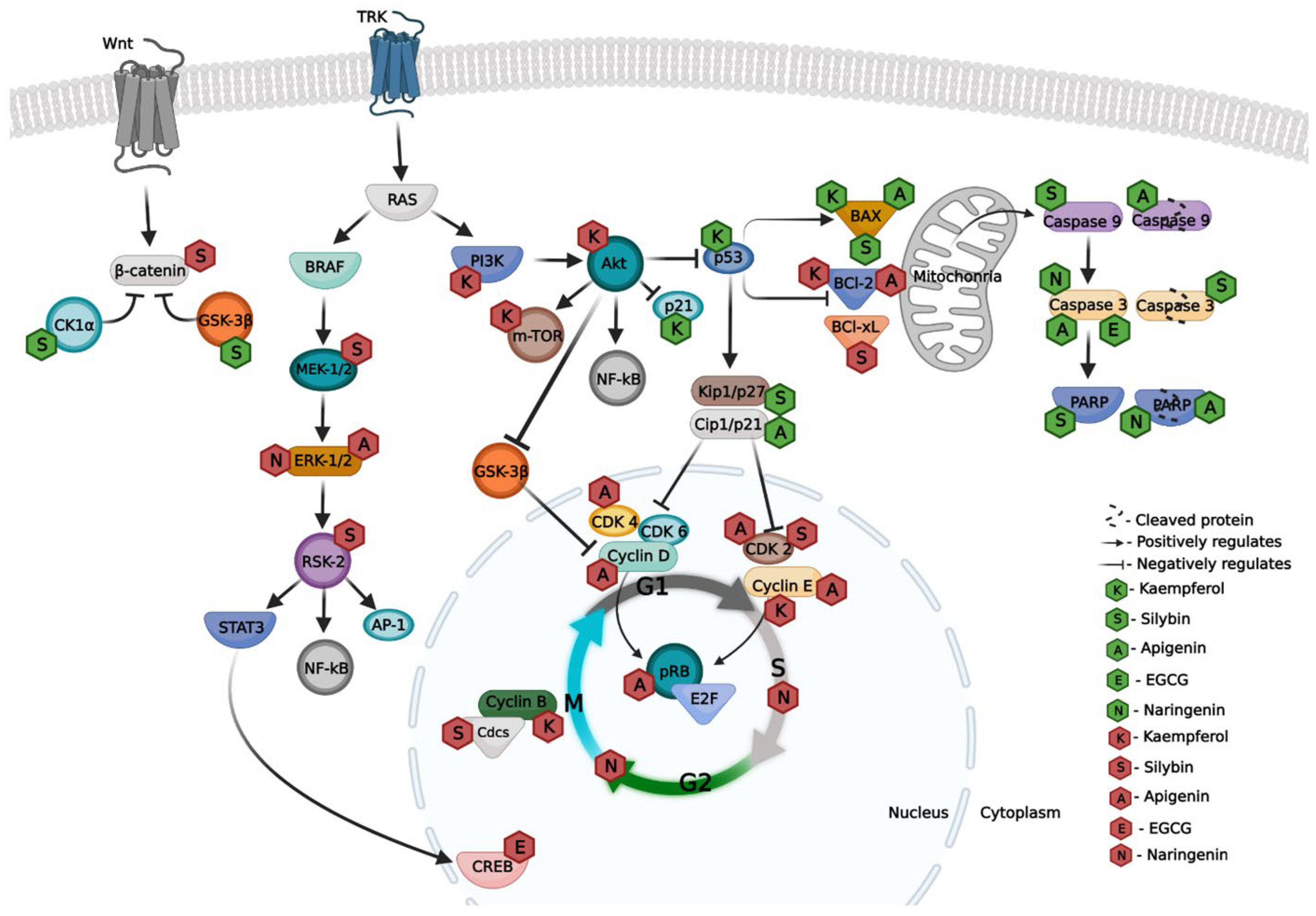 Bioengineering 09 00290 g003