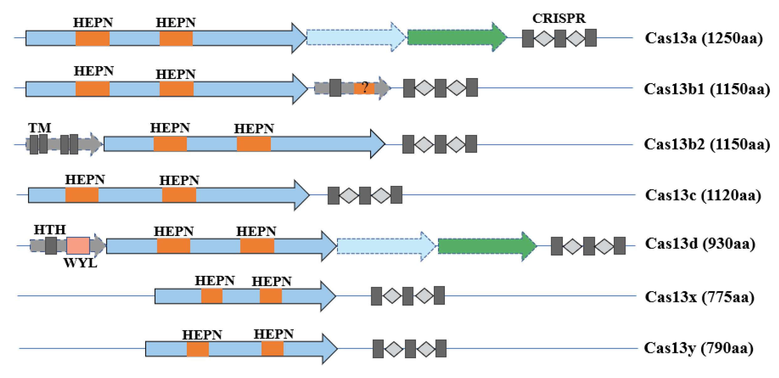 Bioengineering 09 00291 g001