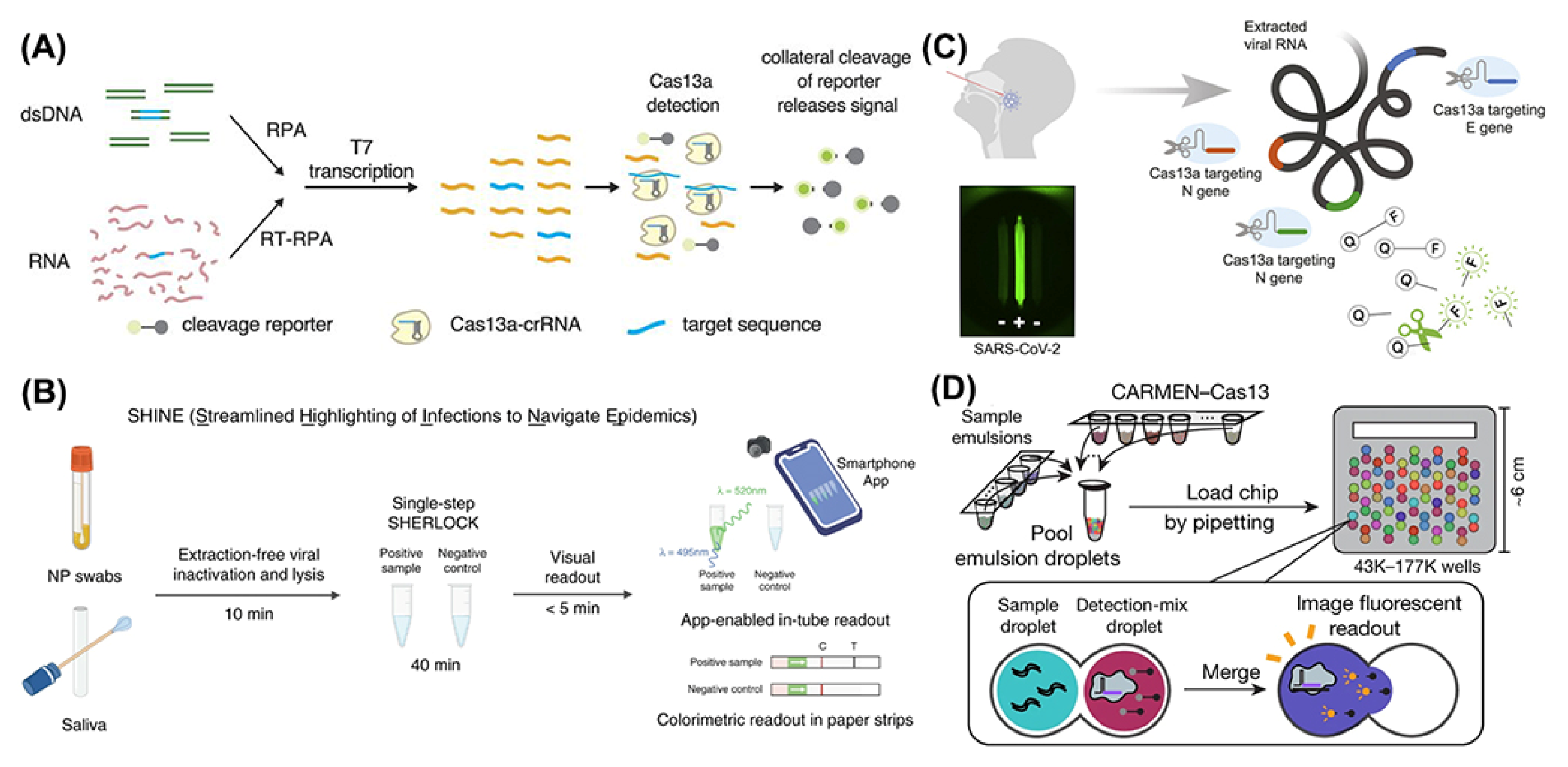 Bioengineering 09 00291 g003