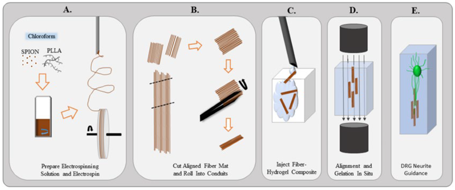 Bioengineering 09 00292 g004