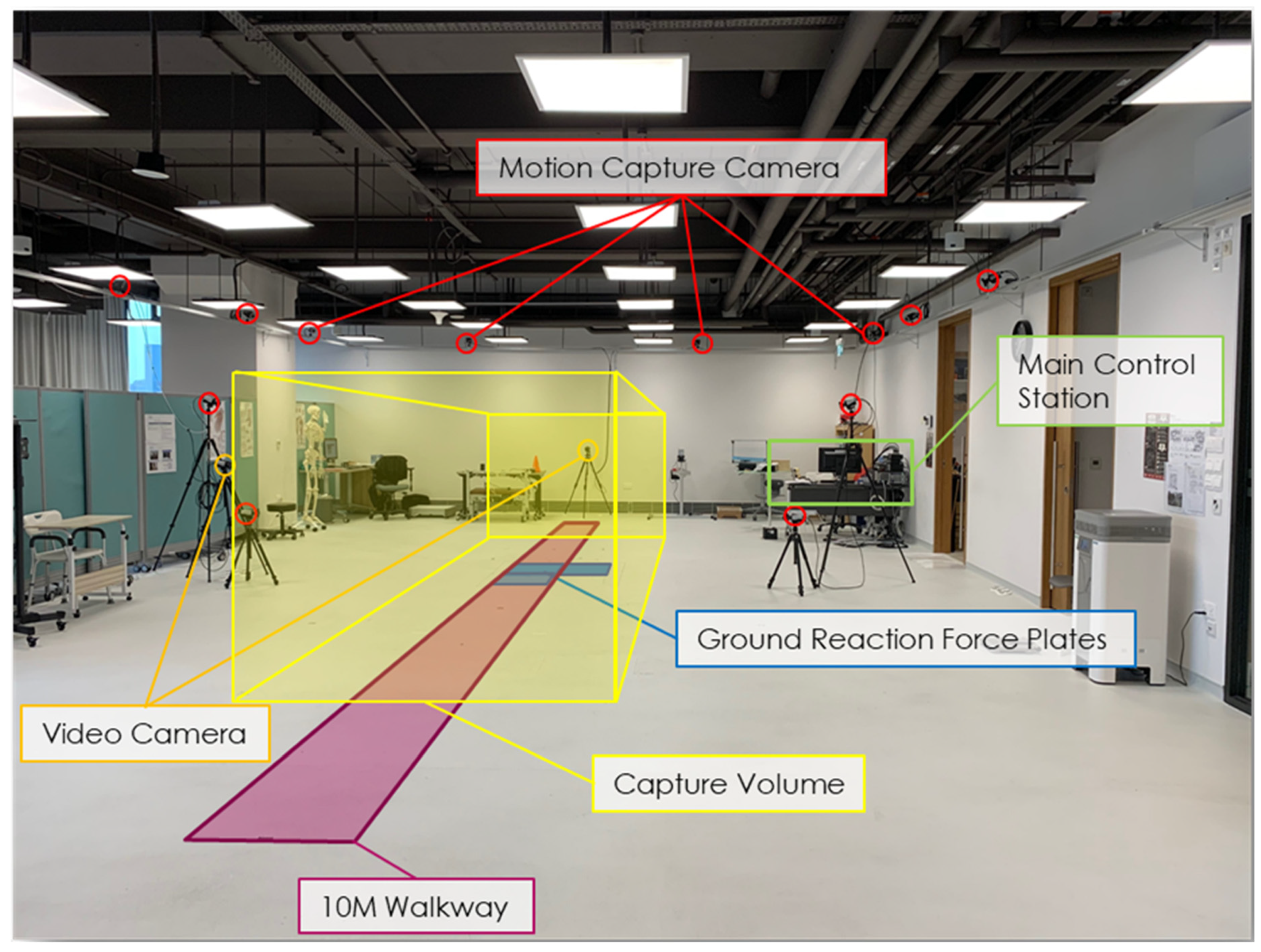 Bioengineering 09 00293 g001