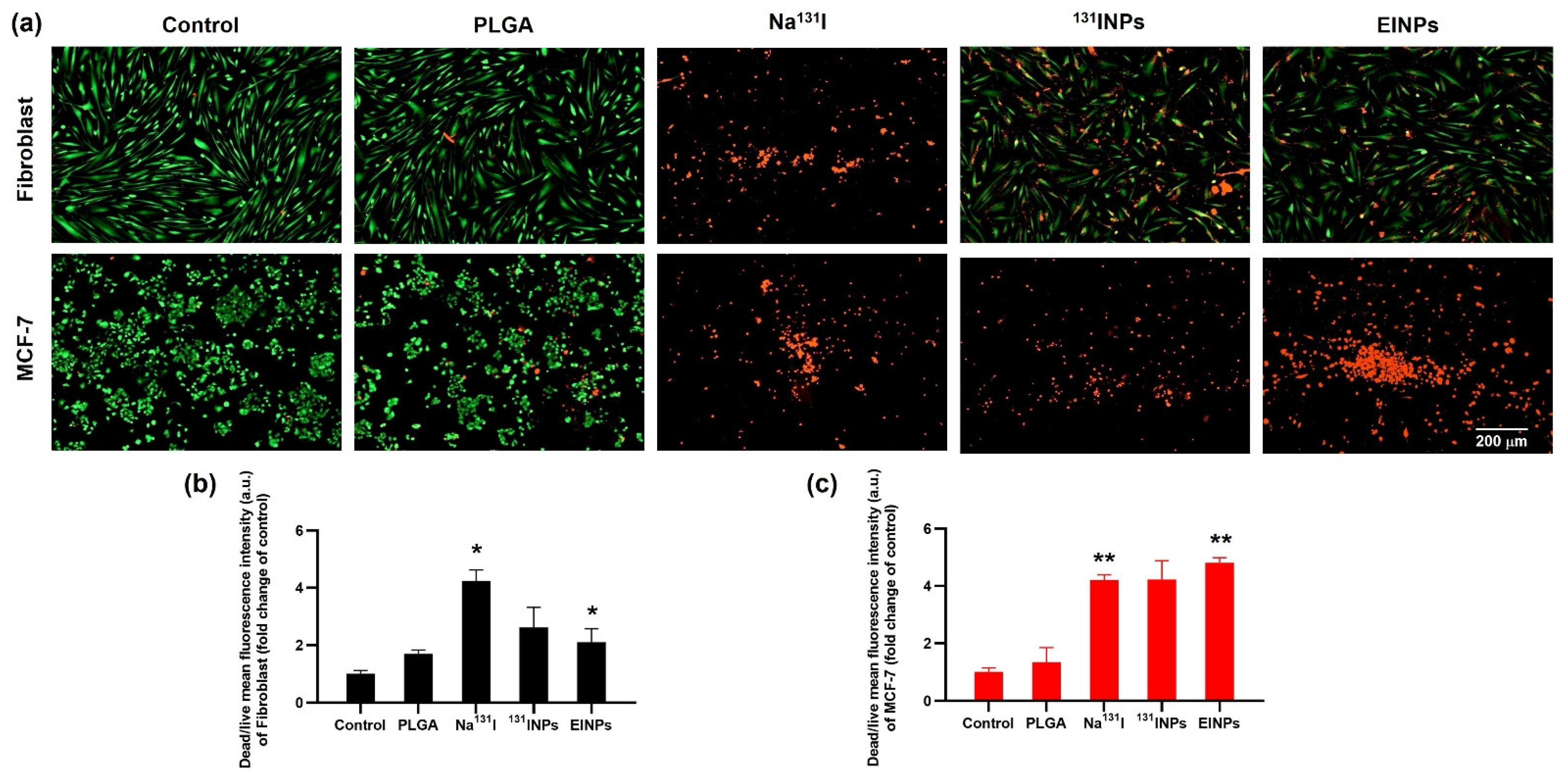 Bioengineering 09 00294 g006
