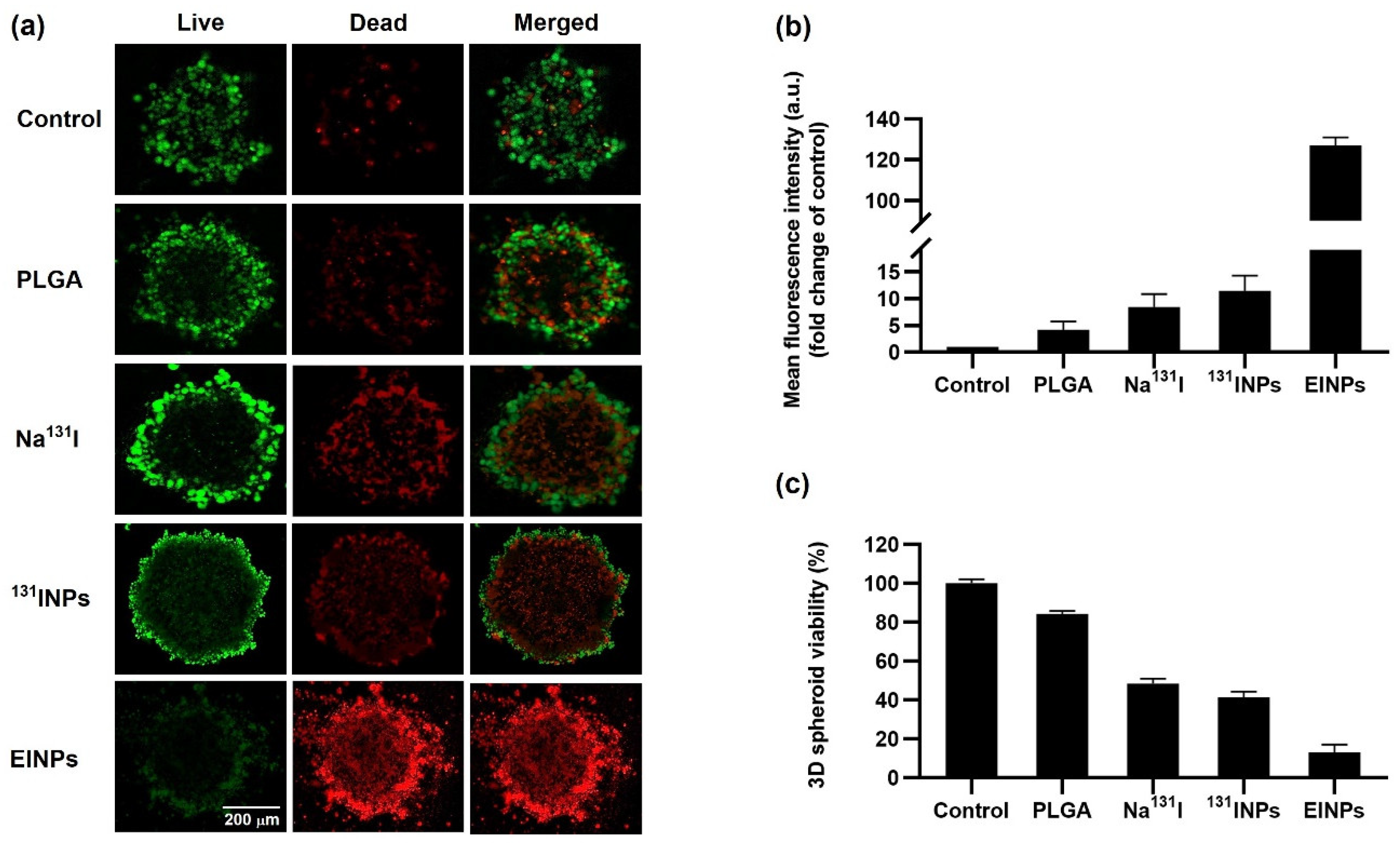 Bioengineering 09 00294 g007