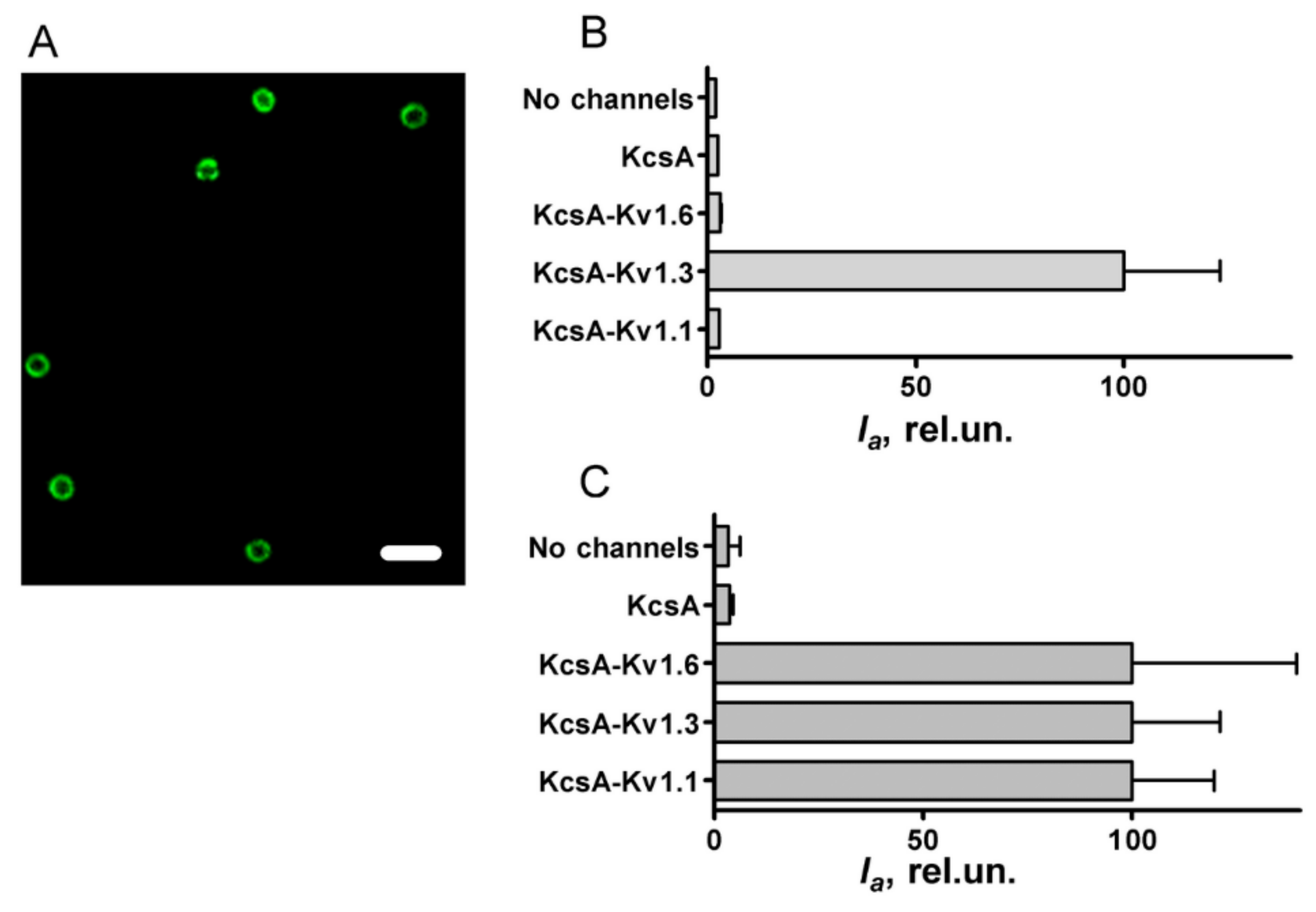 Bioengineering 09 00295 g003 550