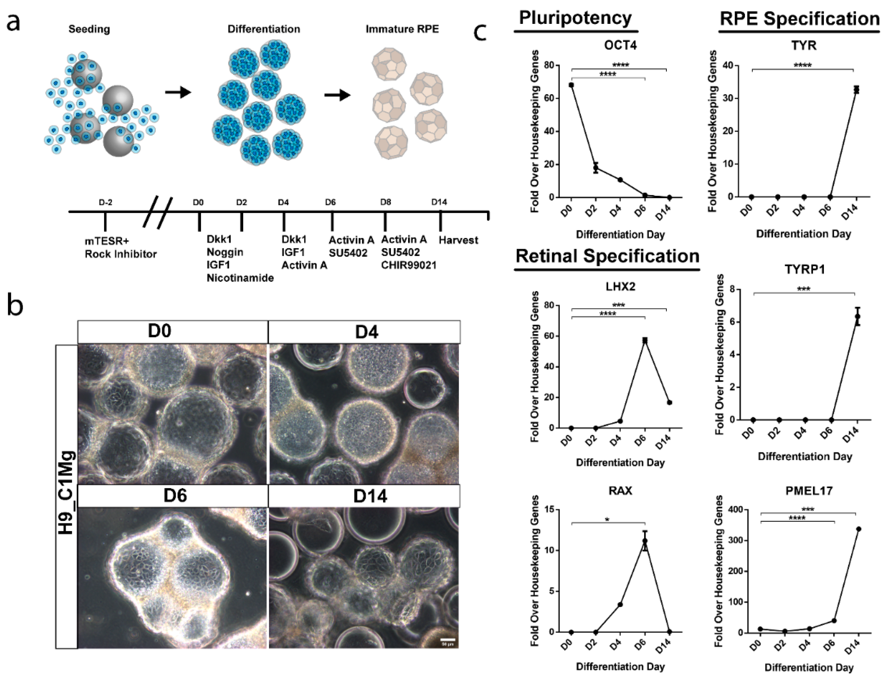 Bioengineering 09 00297 g005