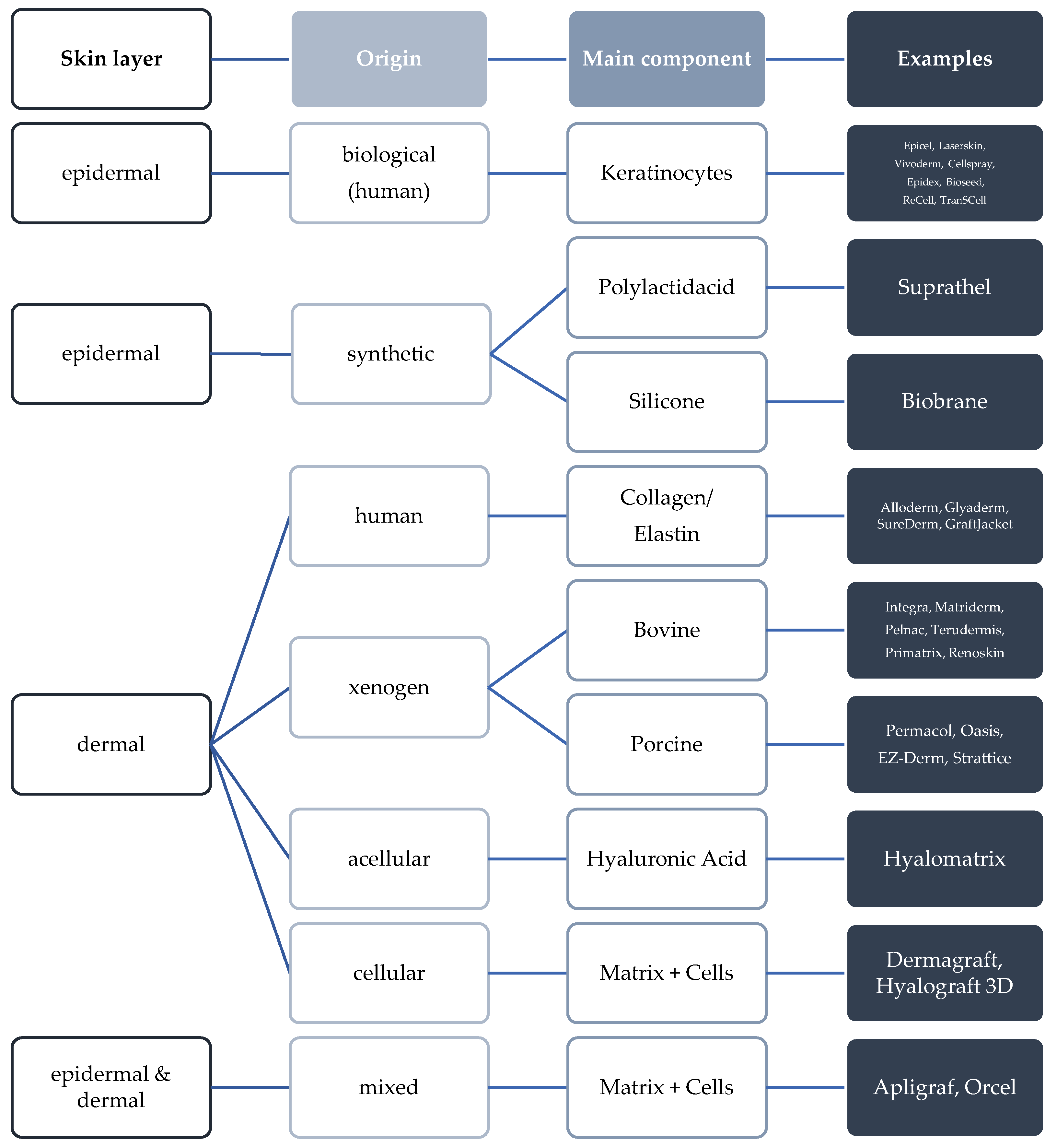 Bioengineering 09 00298 g001