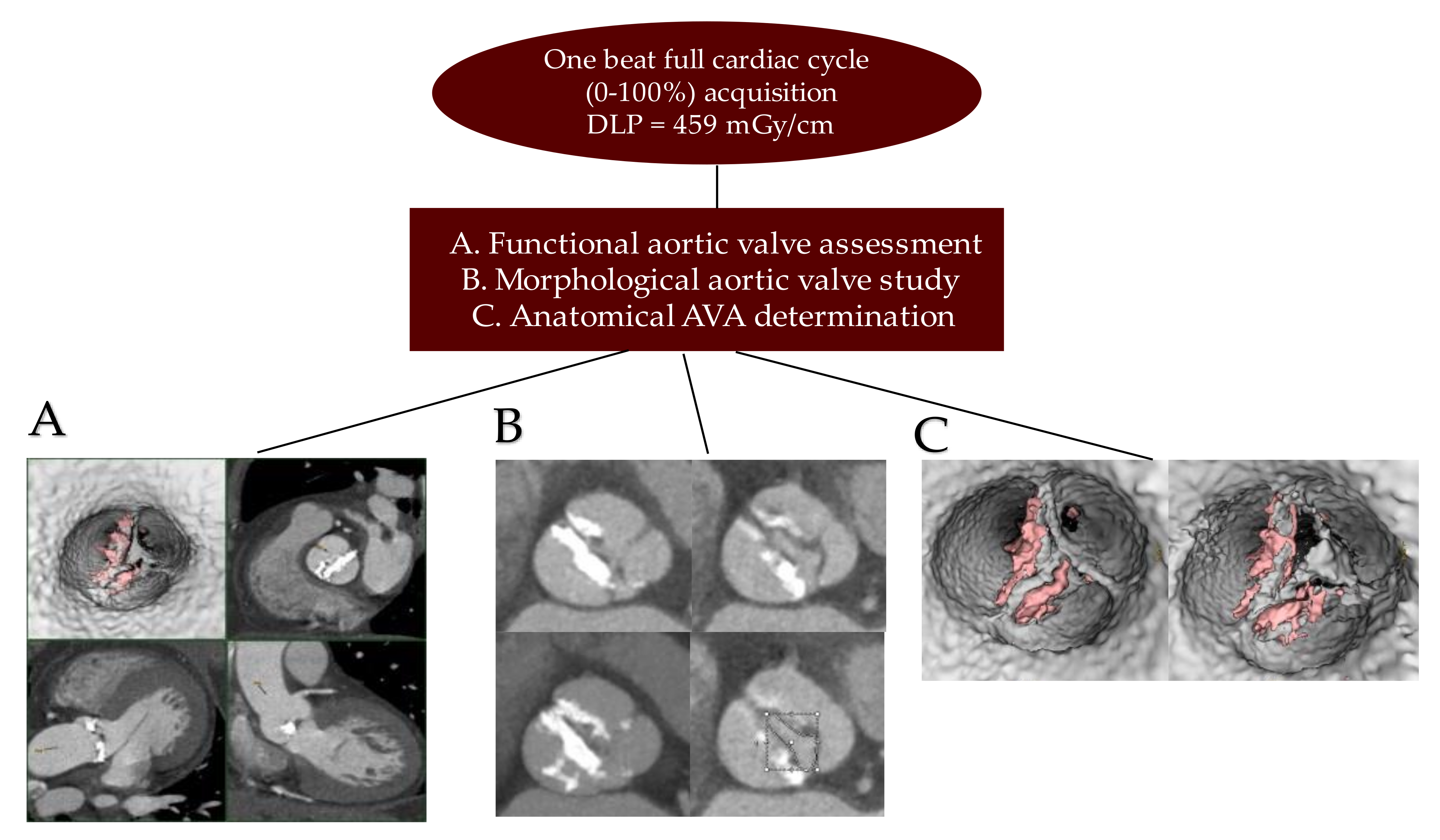 Bioengineering 09 00299 g004