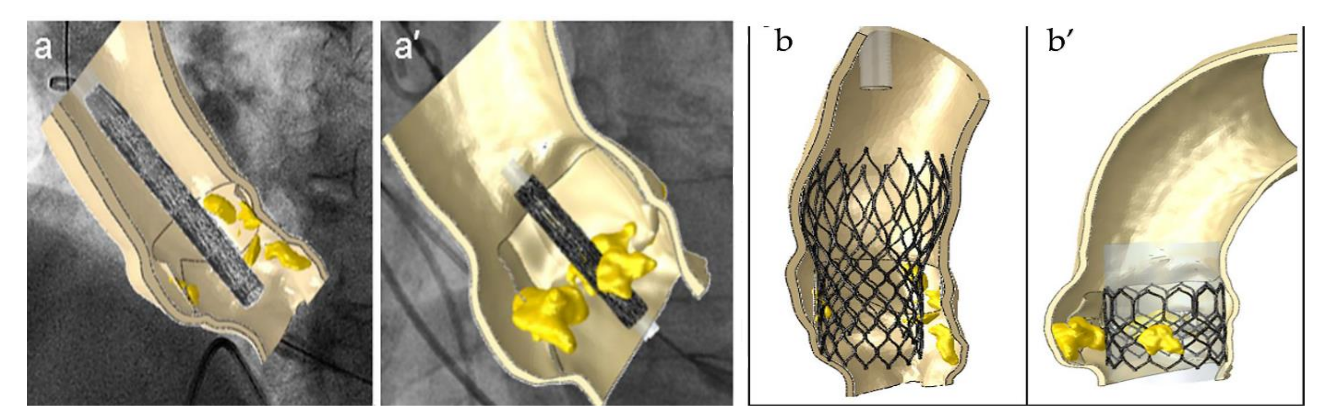 Bioengineering 09 00299 g007