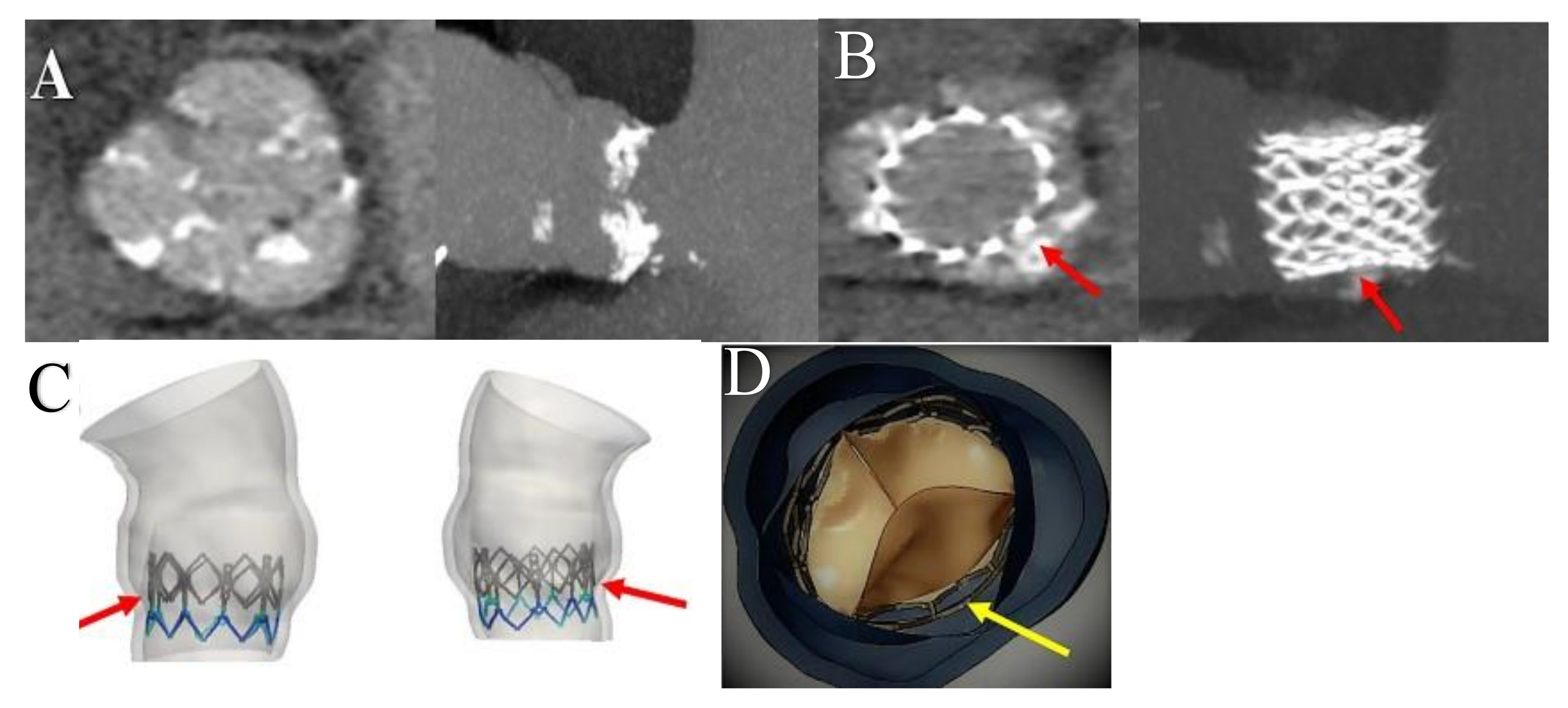 Bioengineering 09 00299 g008