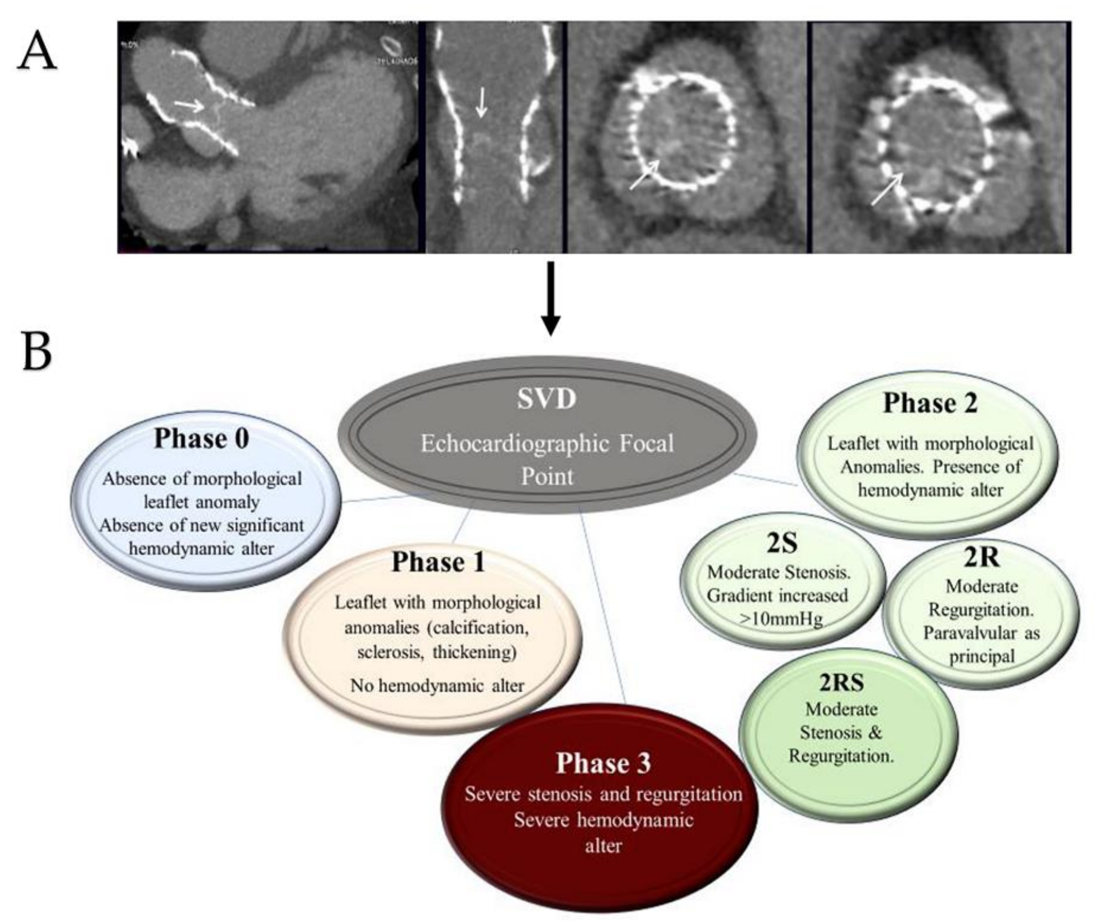 Bioengineering 09 00299 g009