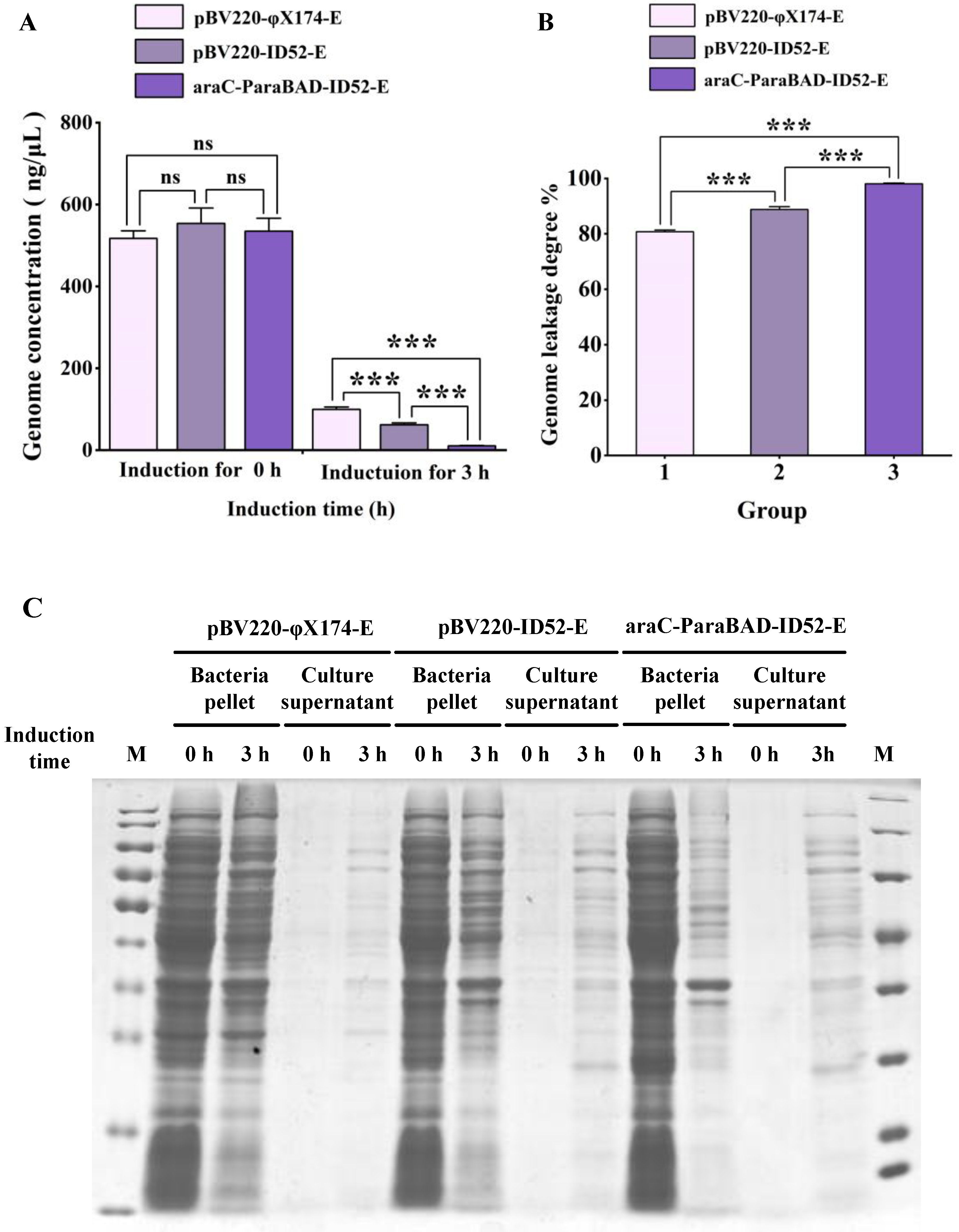 Bioengineering 09 00300 g002