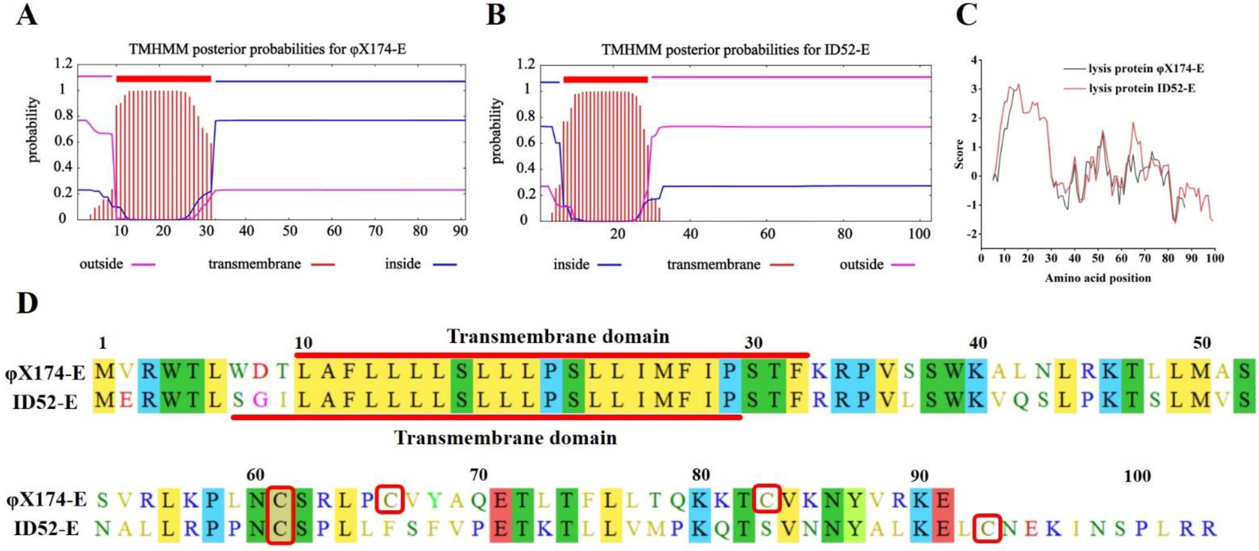 Bioengineering 09 00300 g006