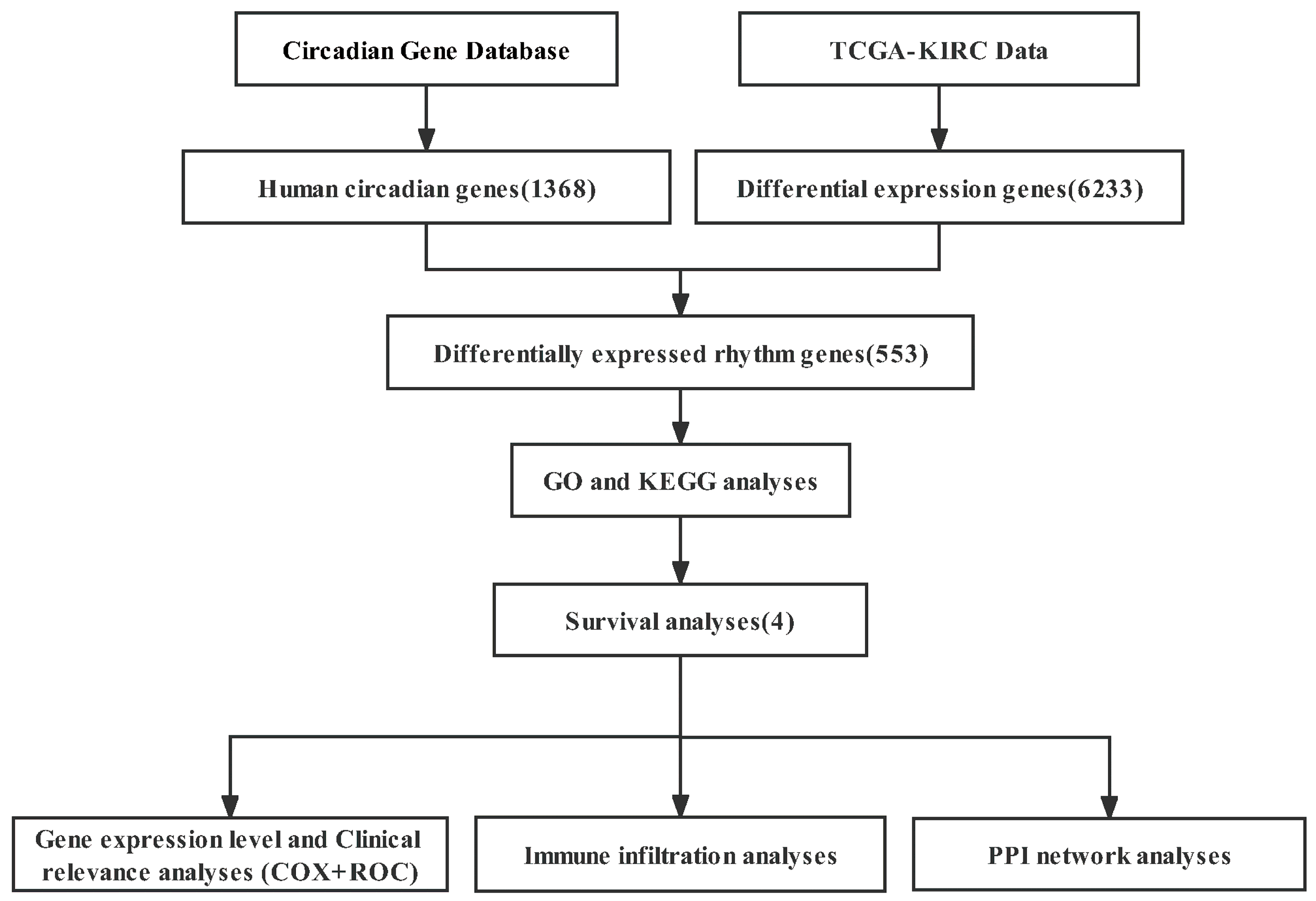 Bioengineering 09 00306 g001