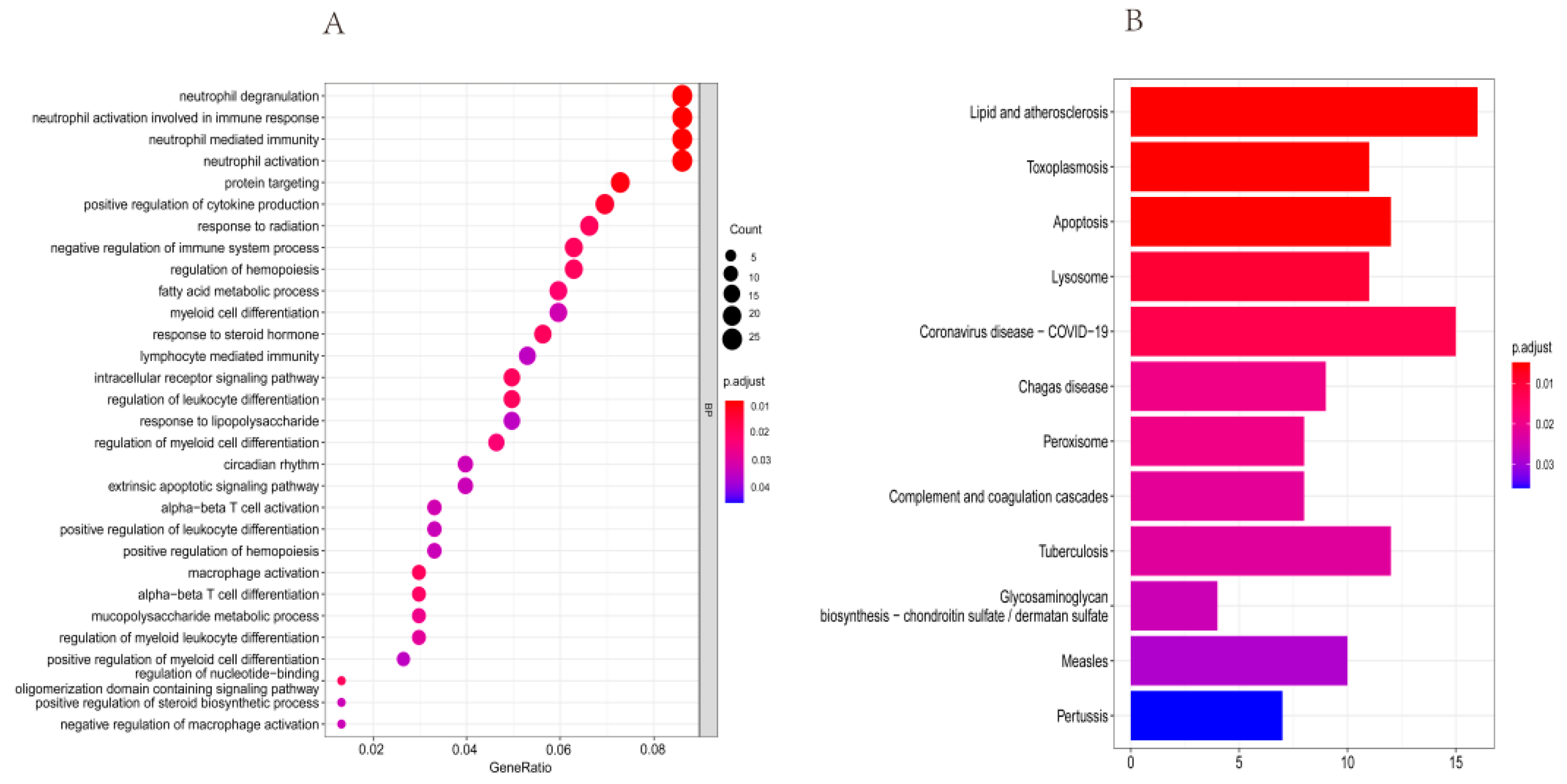 Bioengineering 09 00306 g003