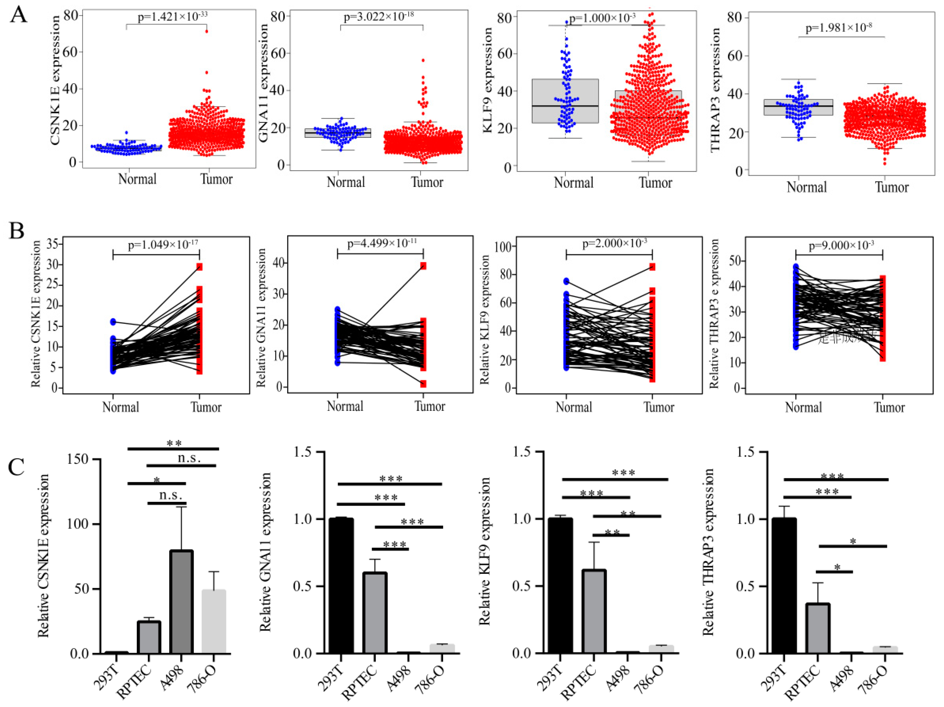 Bioengineering 09 00306 g005