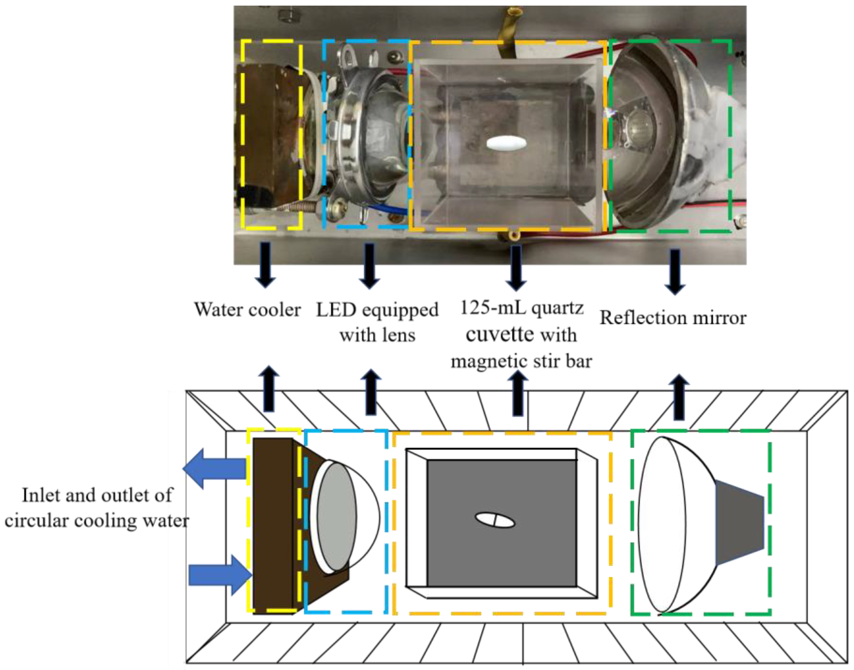 Bioengineering 09 00307 g002