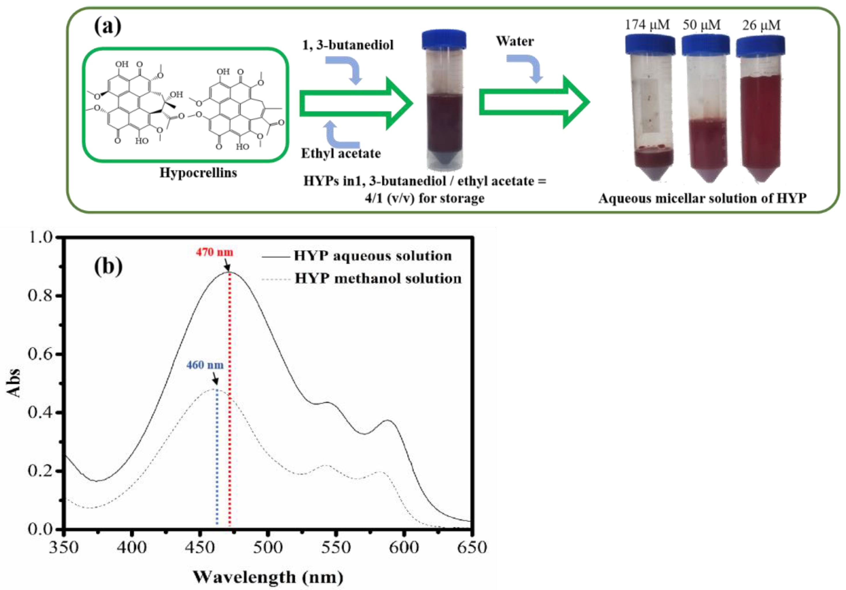 Bioengineering 09 00307 g003