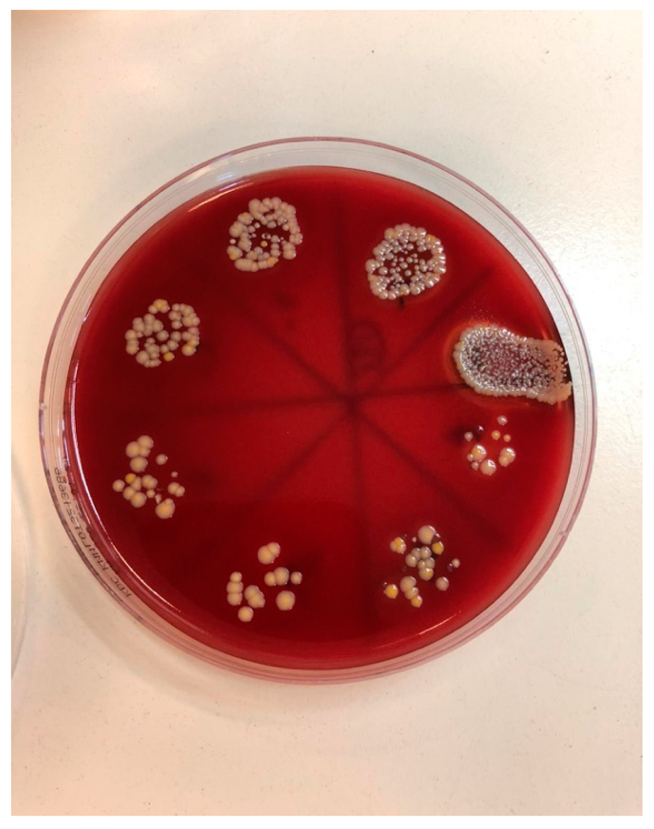 Bioengineering 09 00308 g007